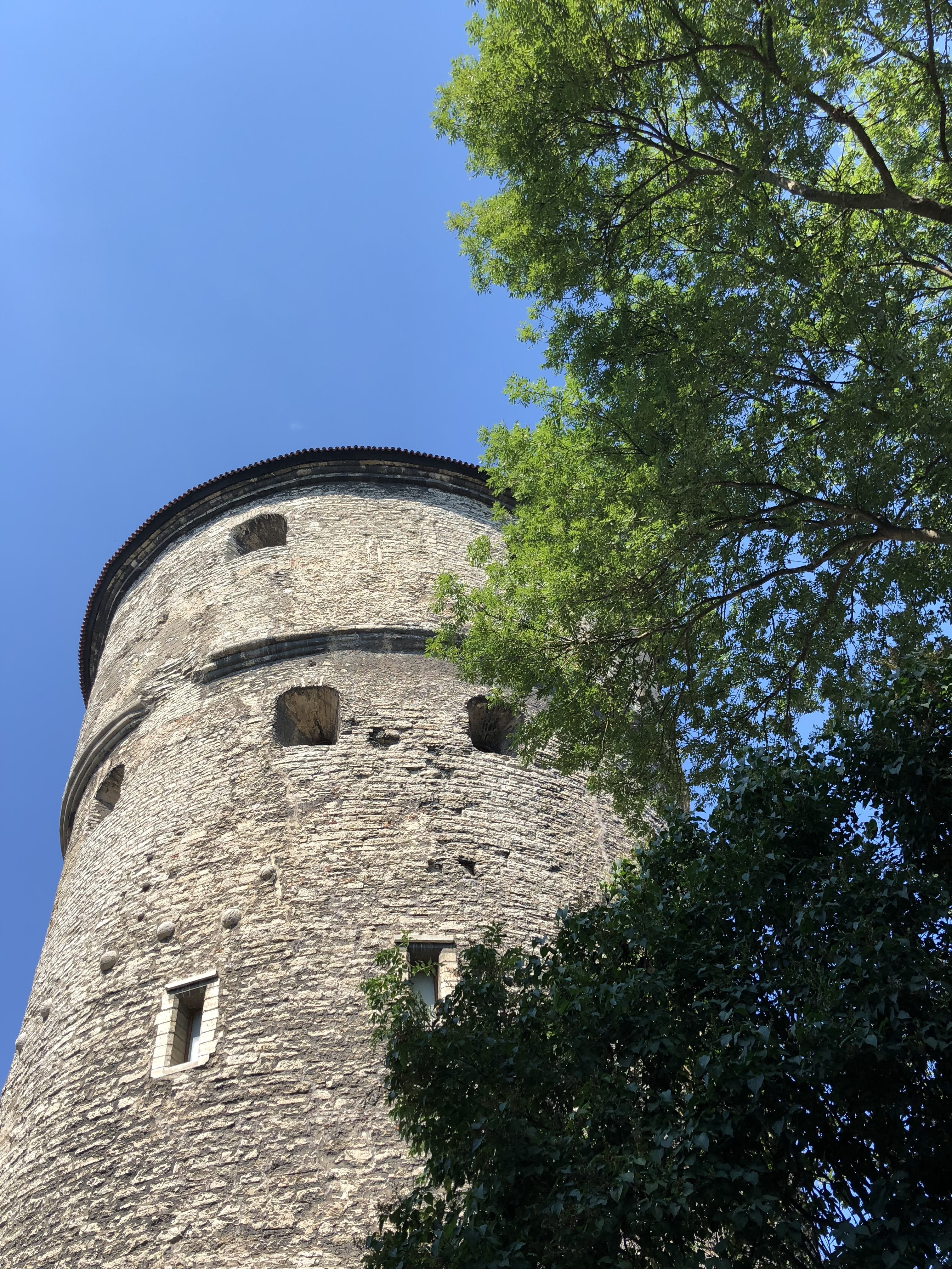 tower, city, sky, architecture, built structure, tree, low angle view