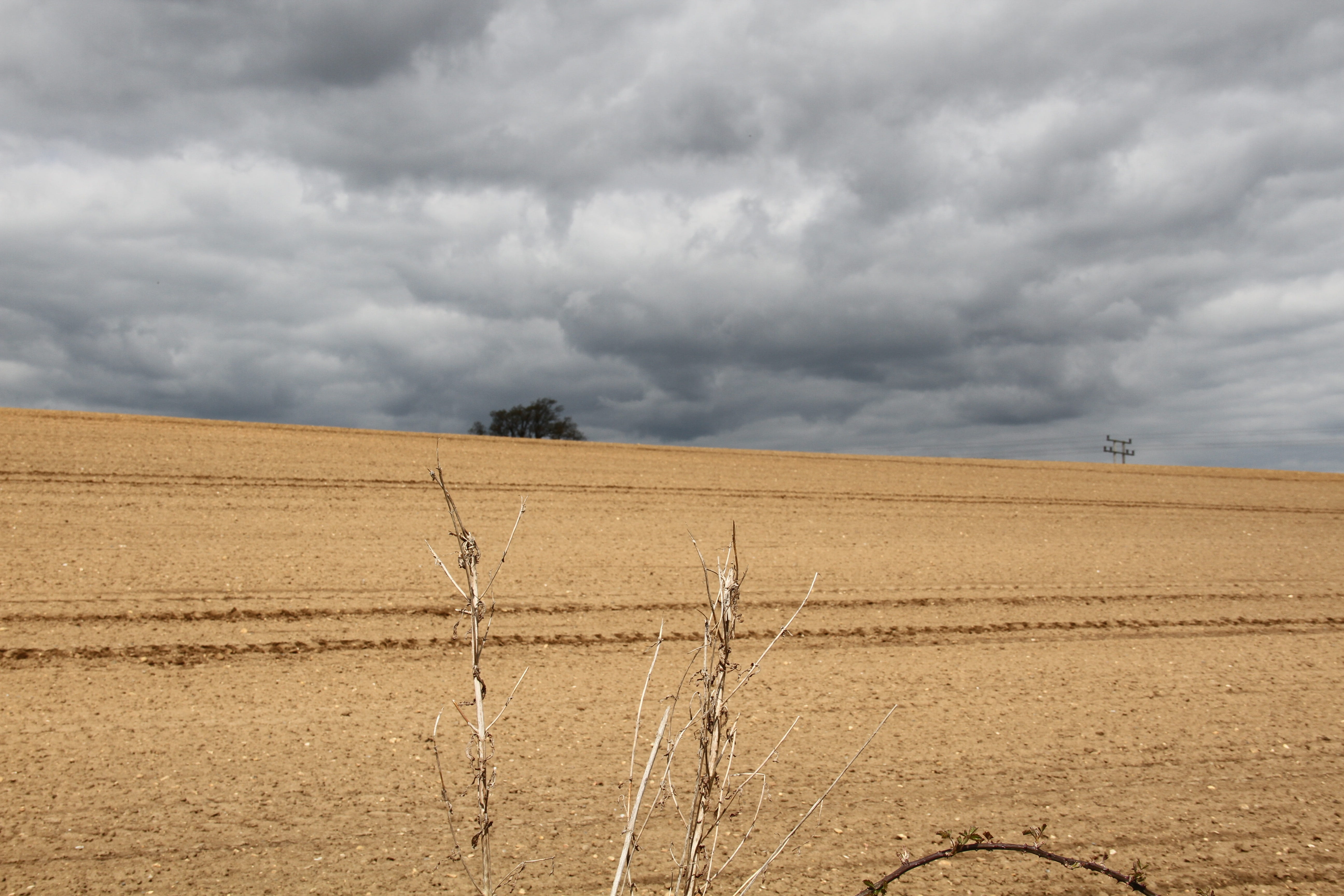 Cloud, Scene, Landscape, Horizon, summer, outdoors, cloudscape