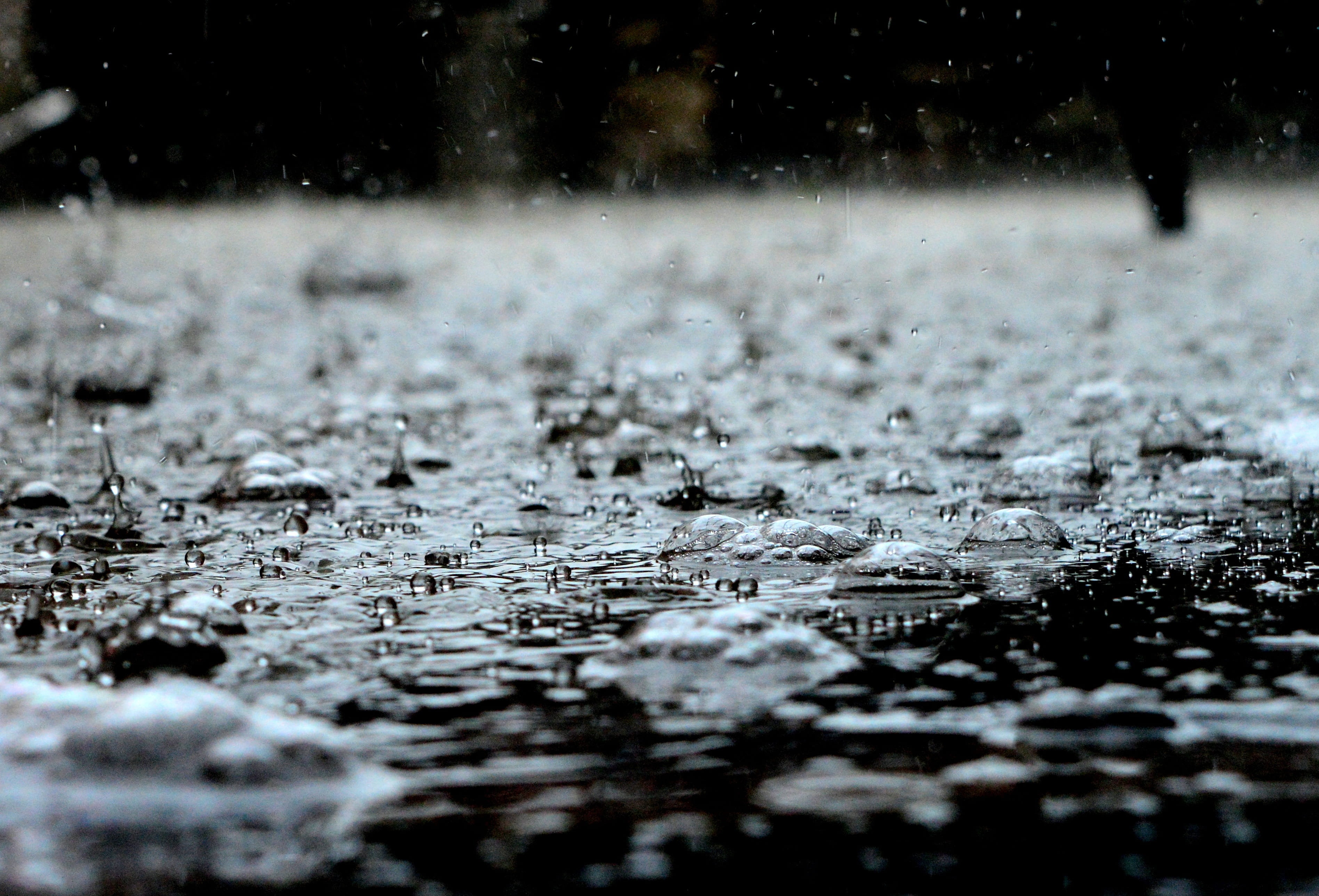 close-up photo of water splash, Liquid, drops, rain, rain drops