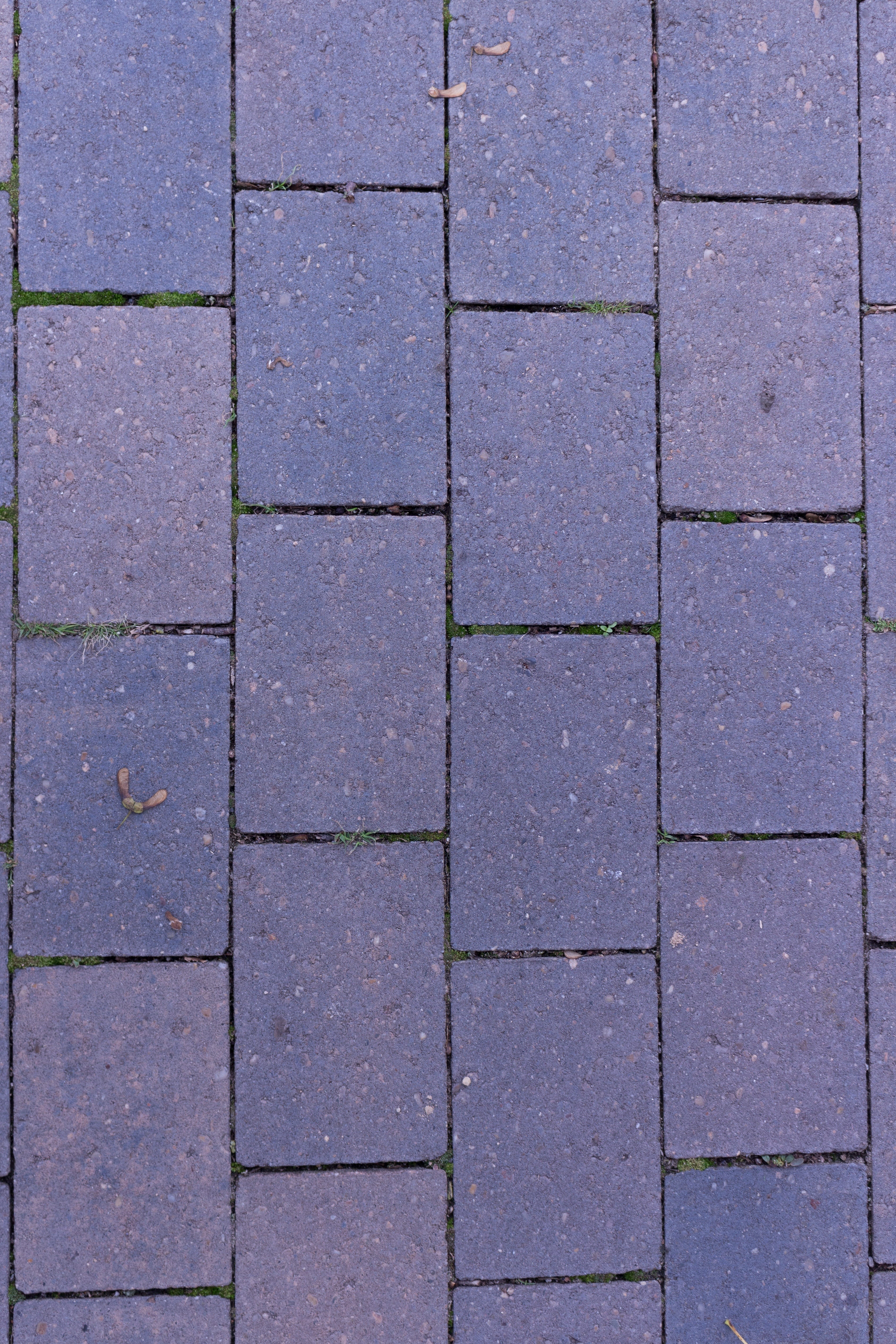 Paving Stones, Joints, Structure, Patch, texture, pattern, ground