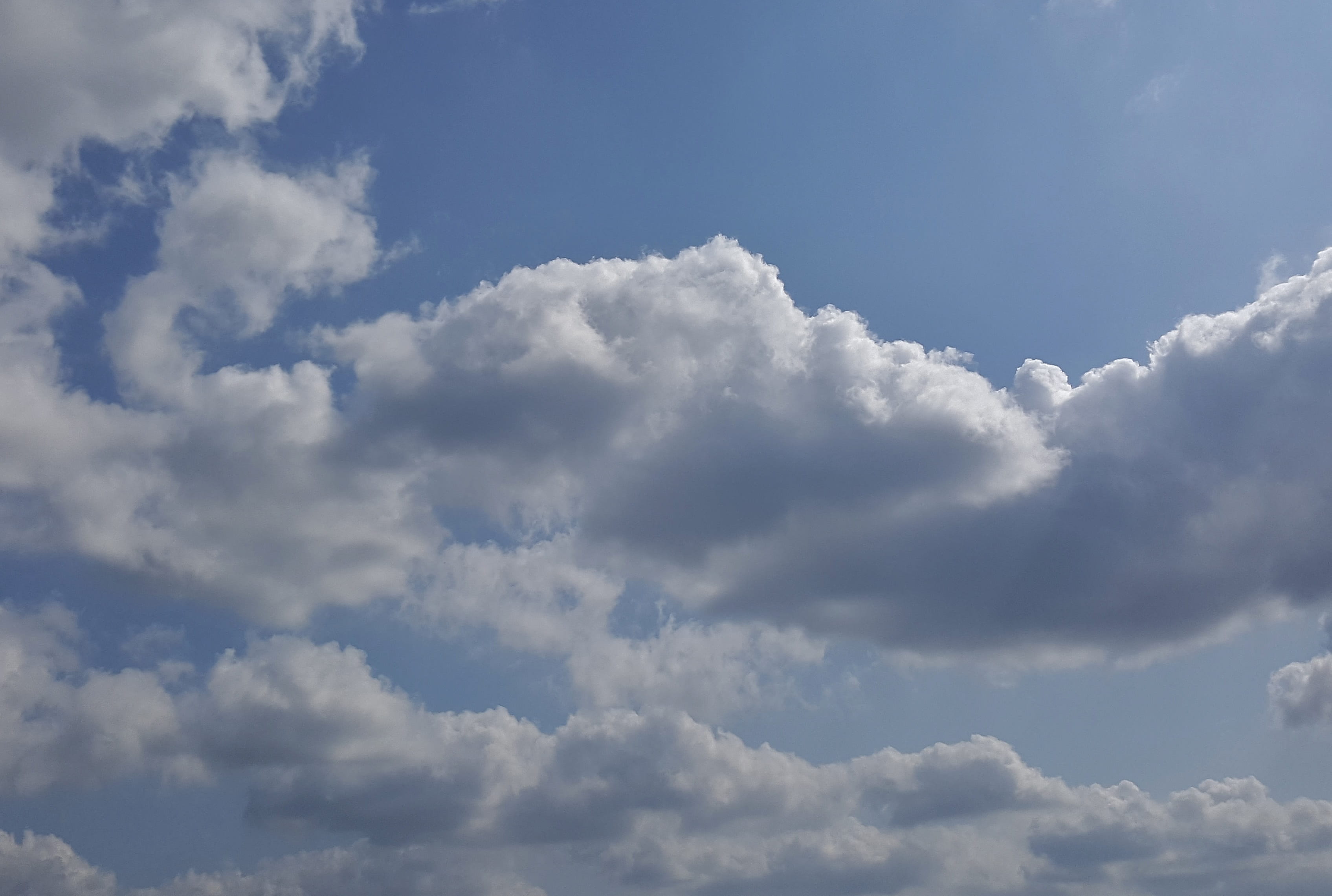 Cumulus, clouds, sky, sky clouds, blue sky clouds, clouded