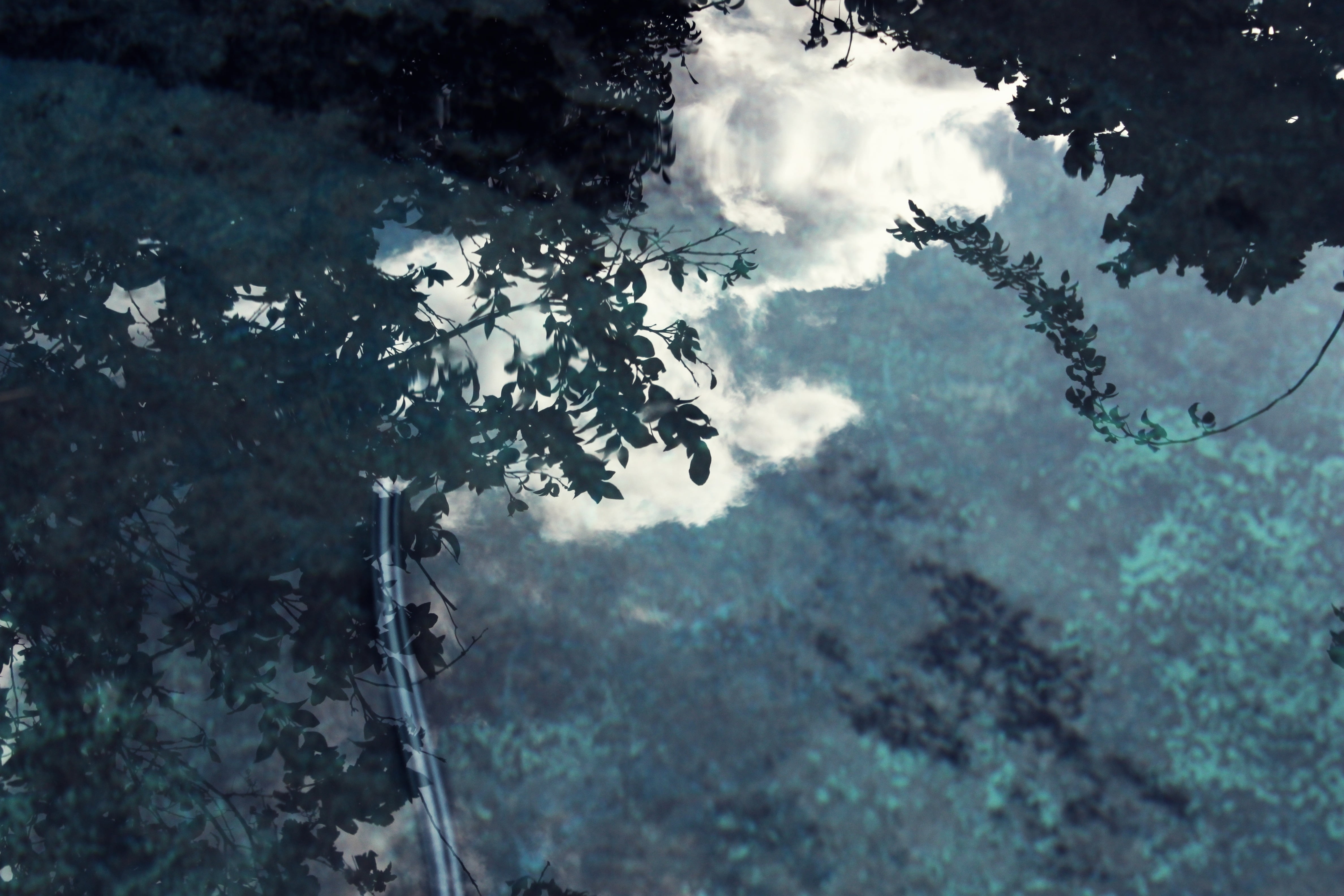 reflection, sky, water, cloud, clouds, nature, tree, forest