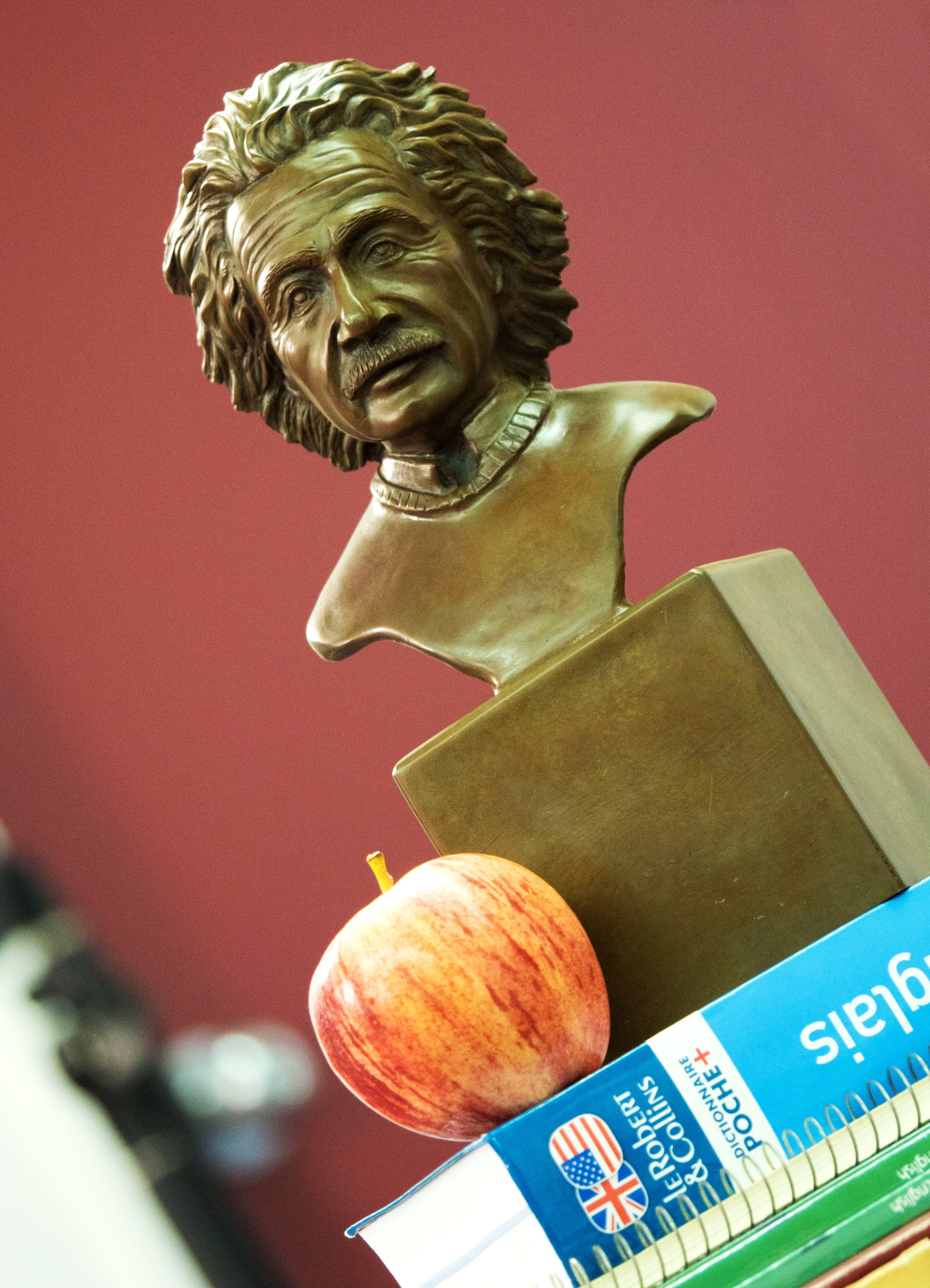 einstein, study, school, knowledge, intelligence, dictionary