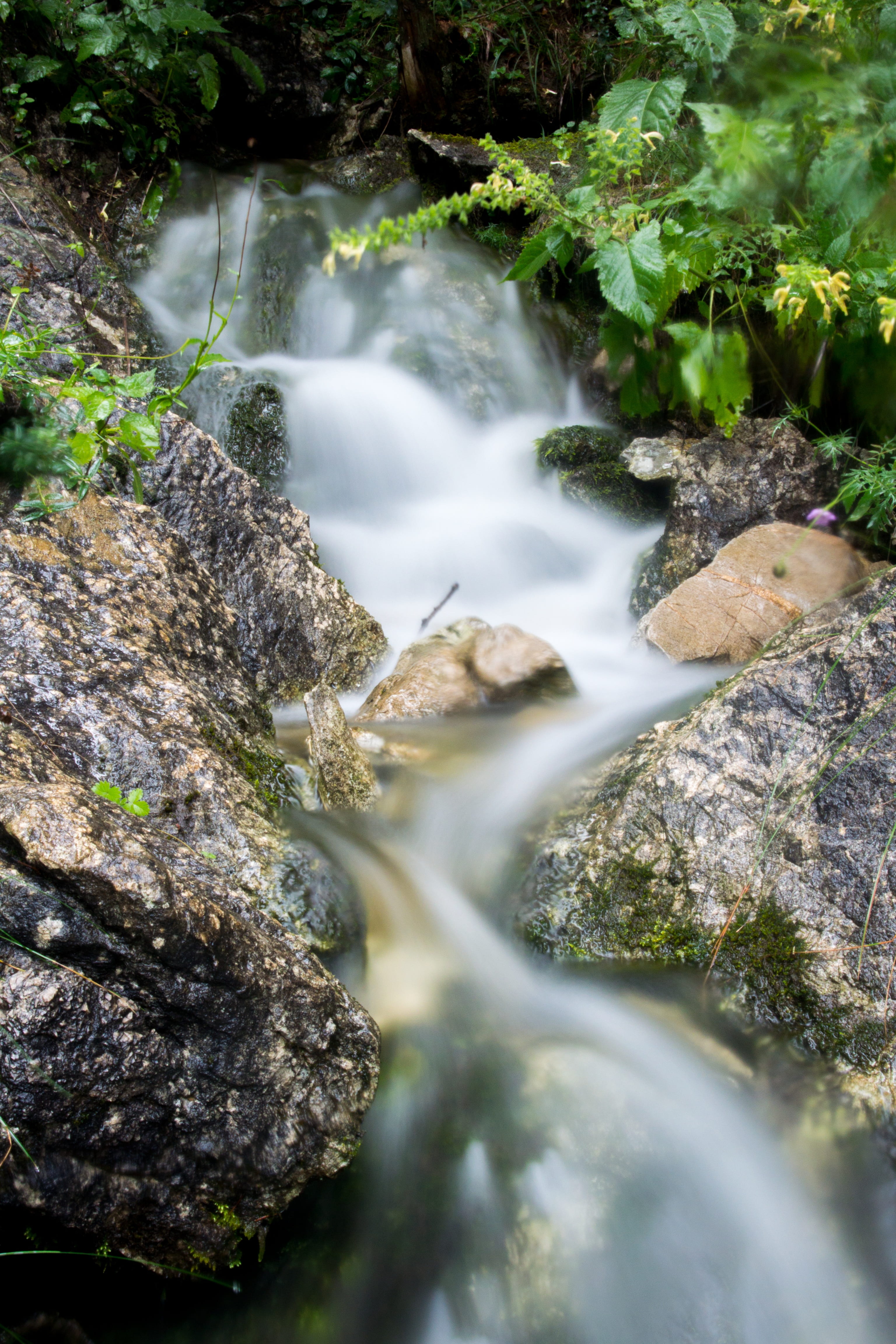 source, water, bubble, nature, stones, water running, drink