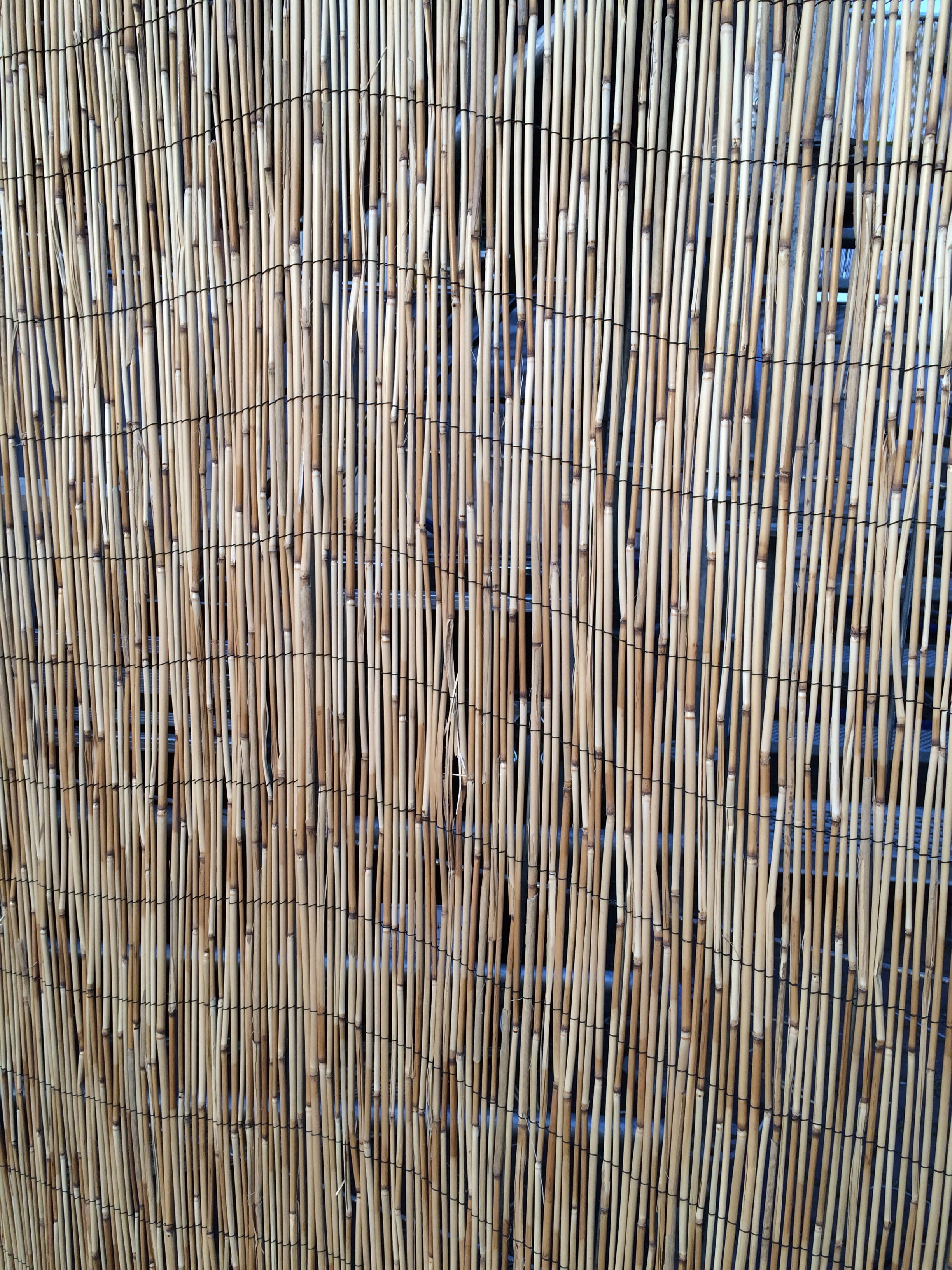 Beach, Reed, Background, Texture, backgrounds, pattern, material