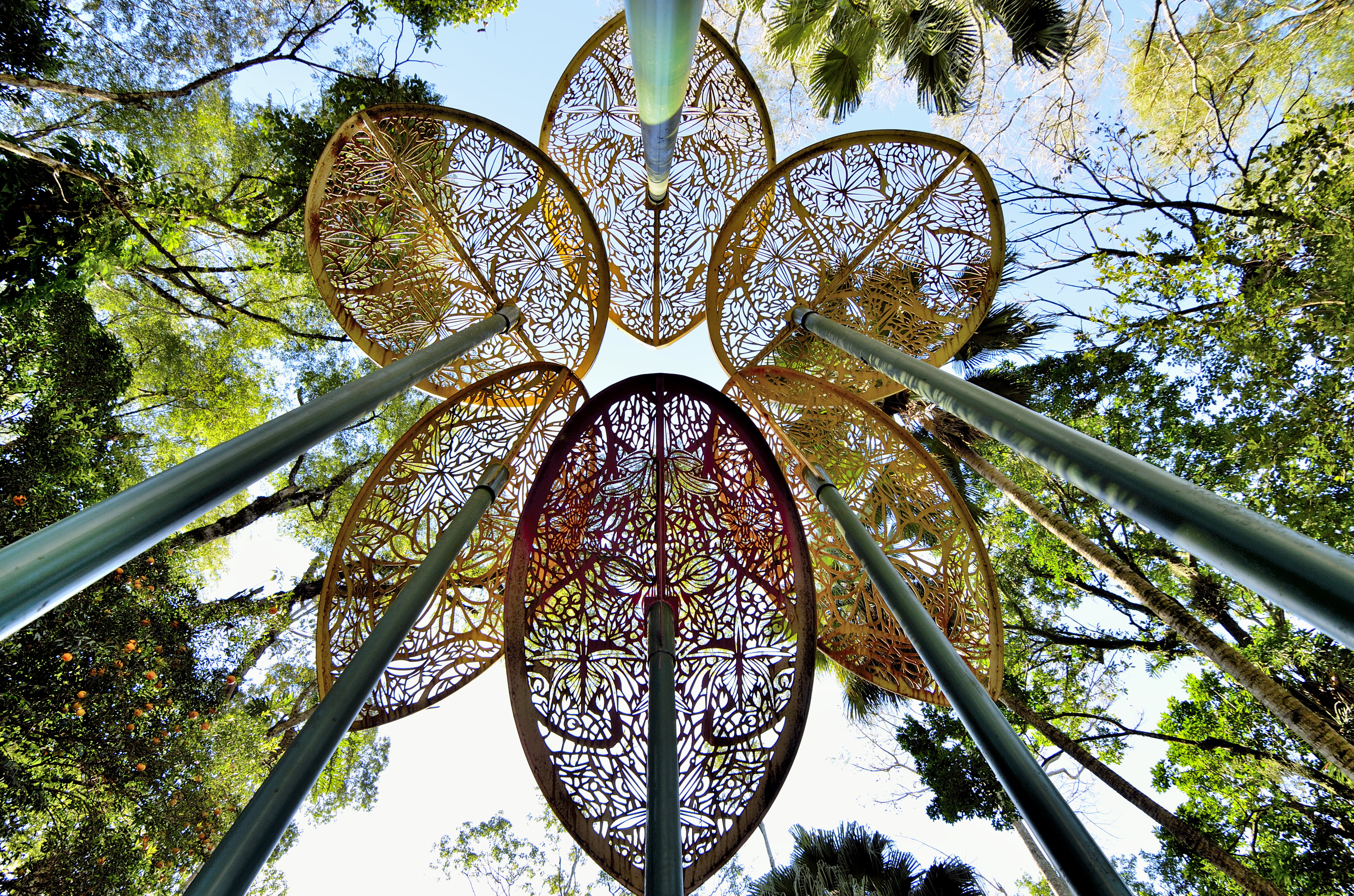 design, low angle shot, park, perspective, trees, nature, leaf