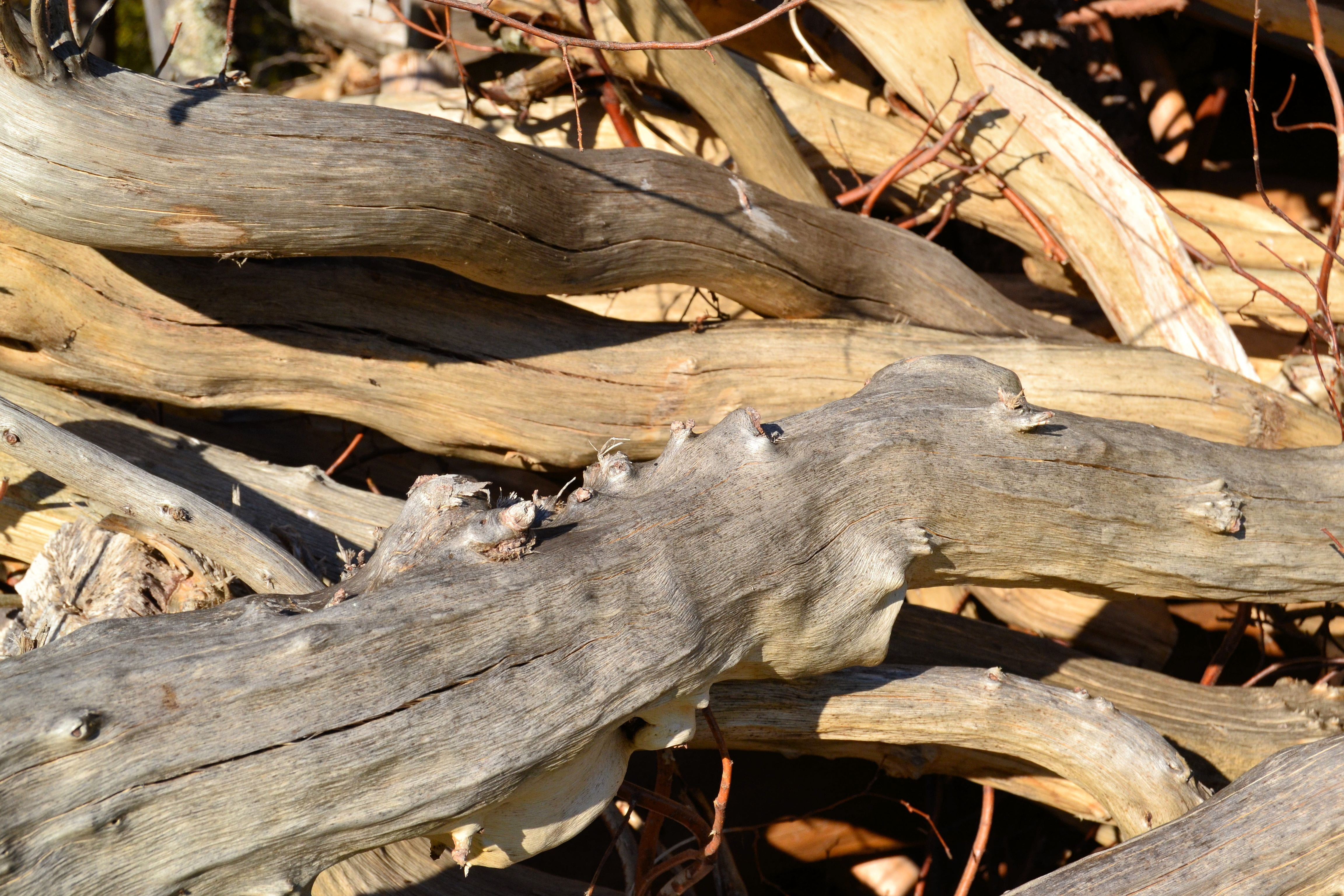 Wood, Stack, Structure, Tree, holzstapel, firewood, log, stock
