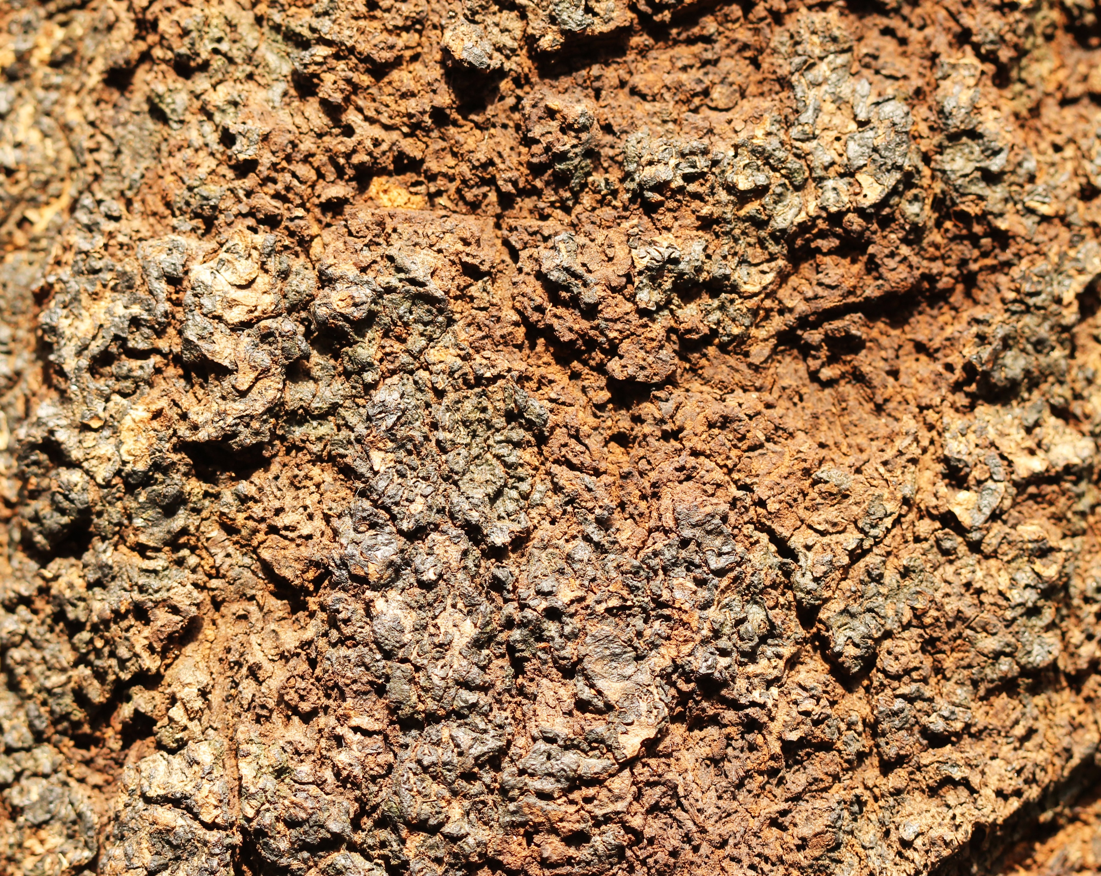 bark, tree, brown, the wall, fabrics, backgrounds, full frame