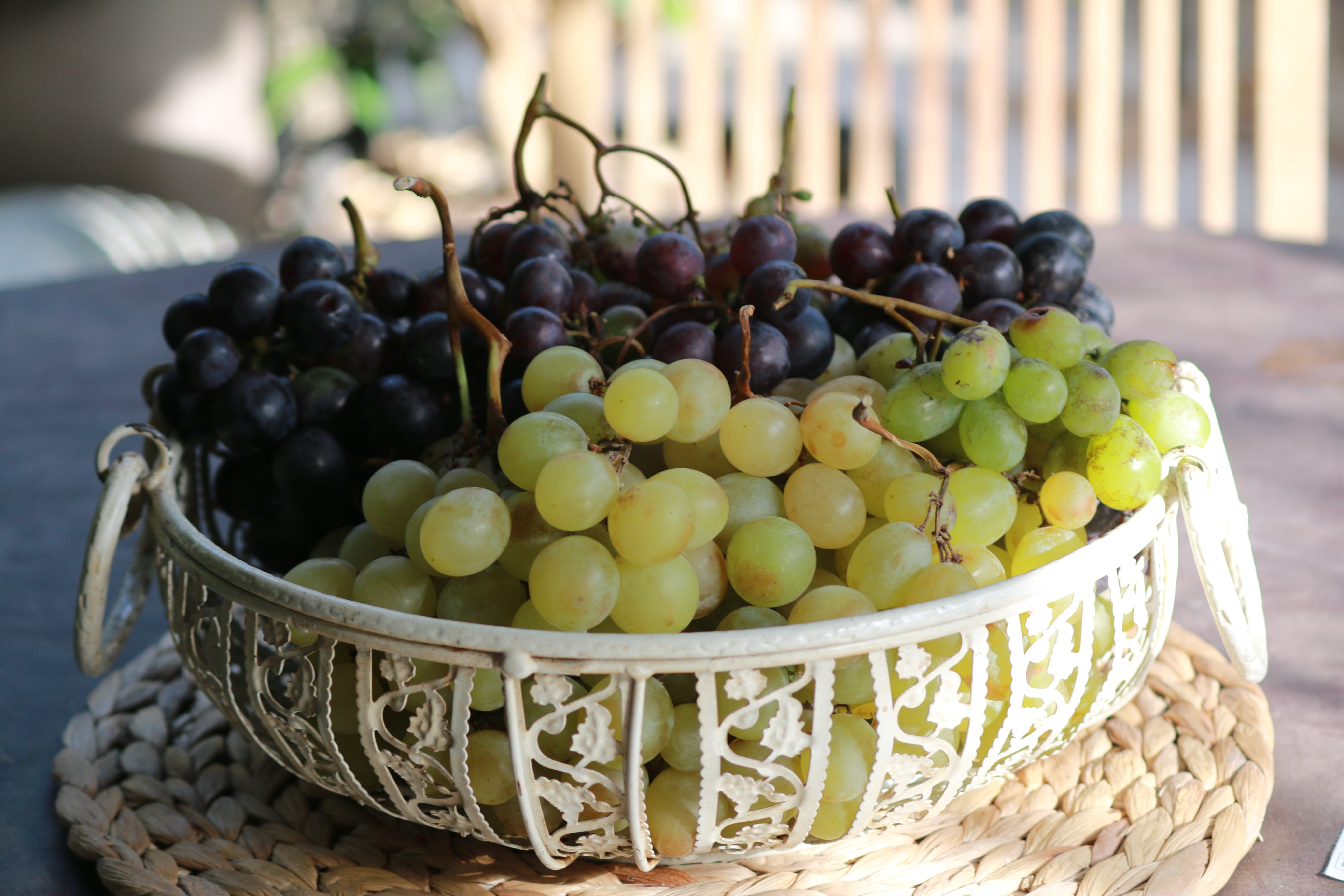 grape, fruit, nature, vine, fall, black grape, white grape