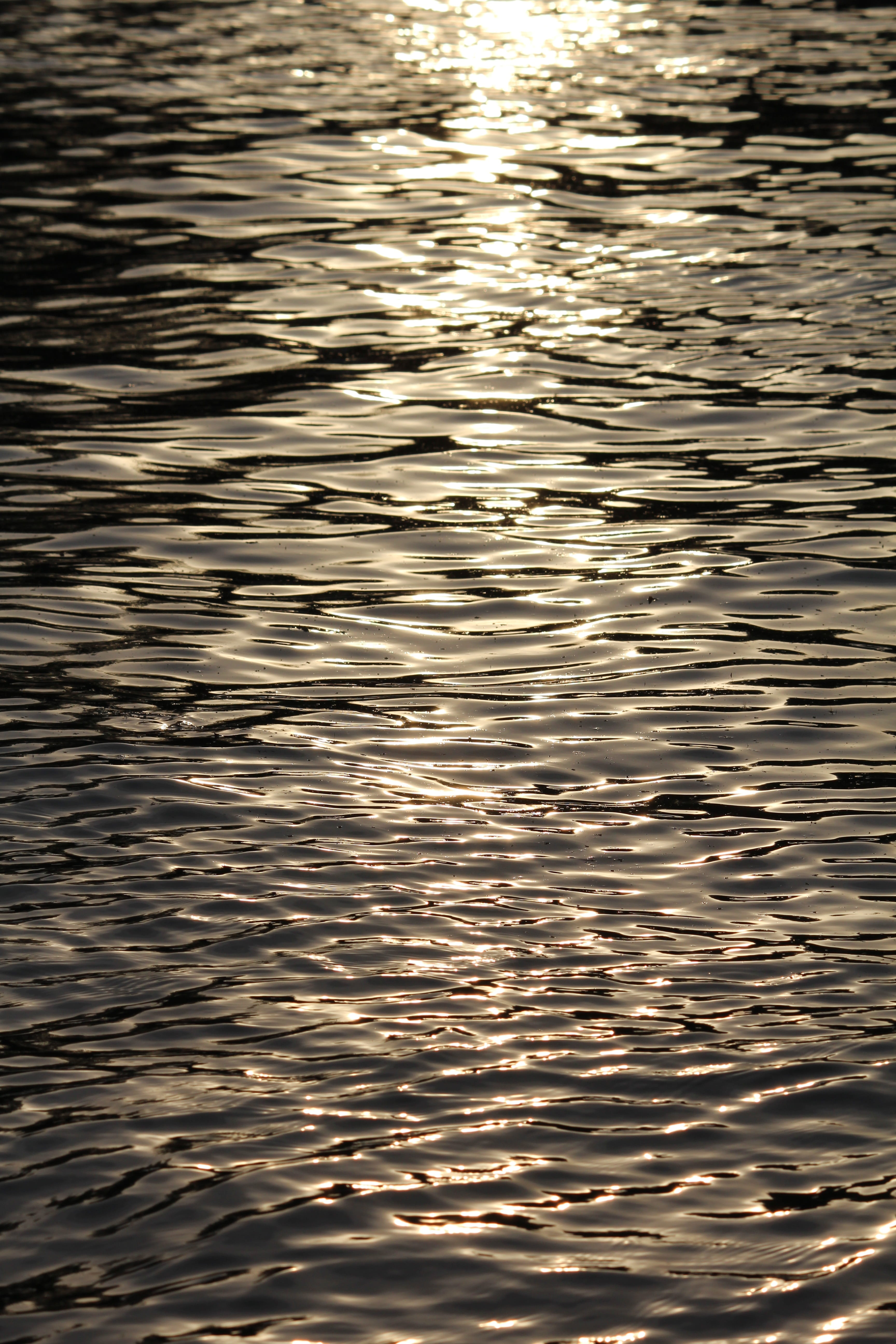 background, nature, abstract, wave, texture, smooth smooth