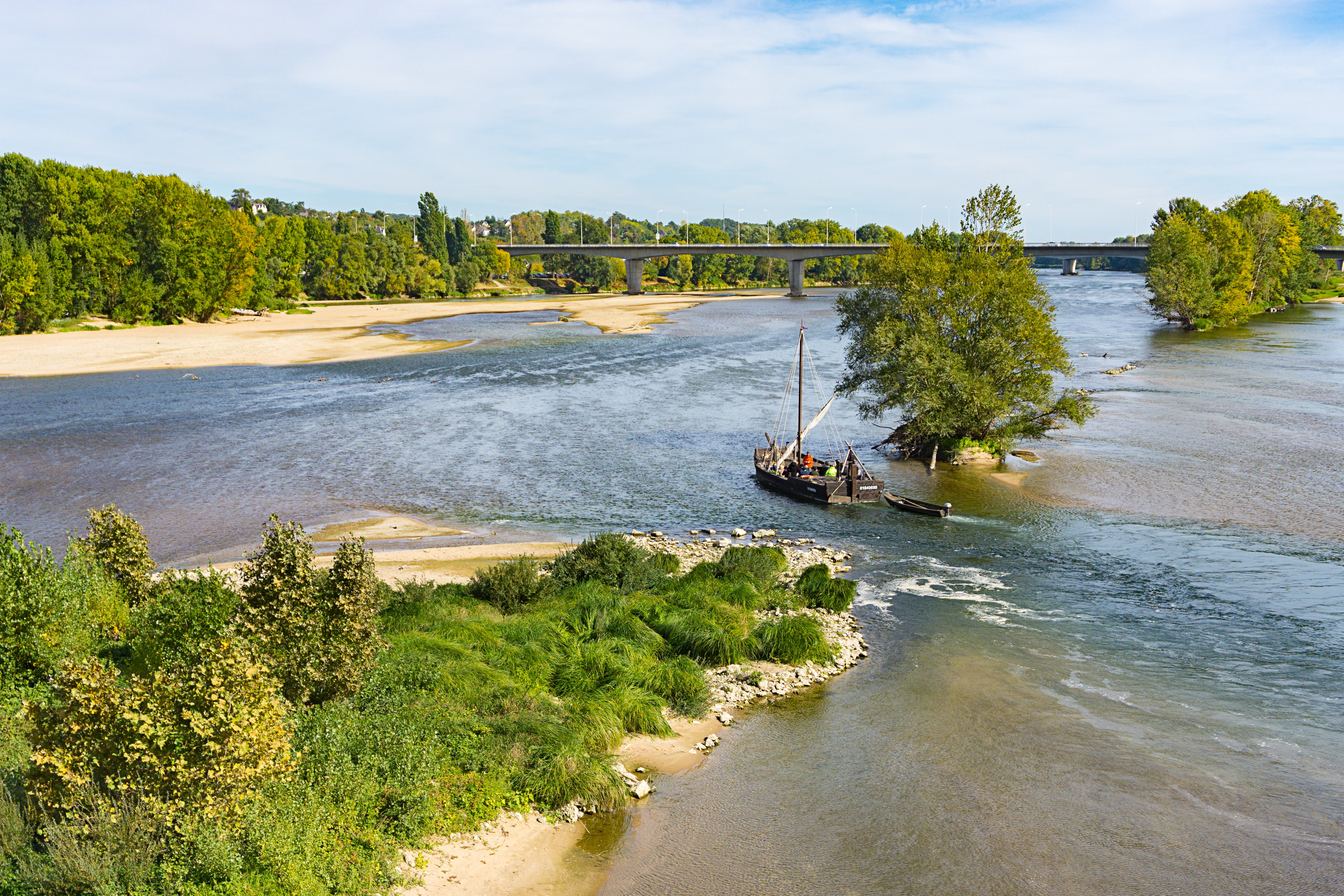 green leafed trees, loire, france tours, river, sandbar, water