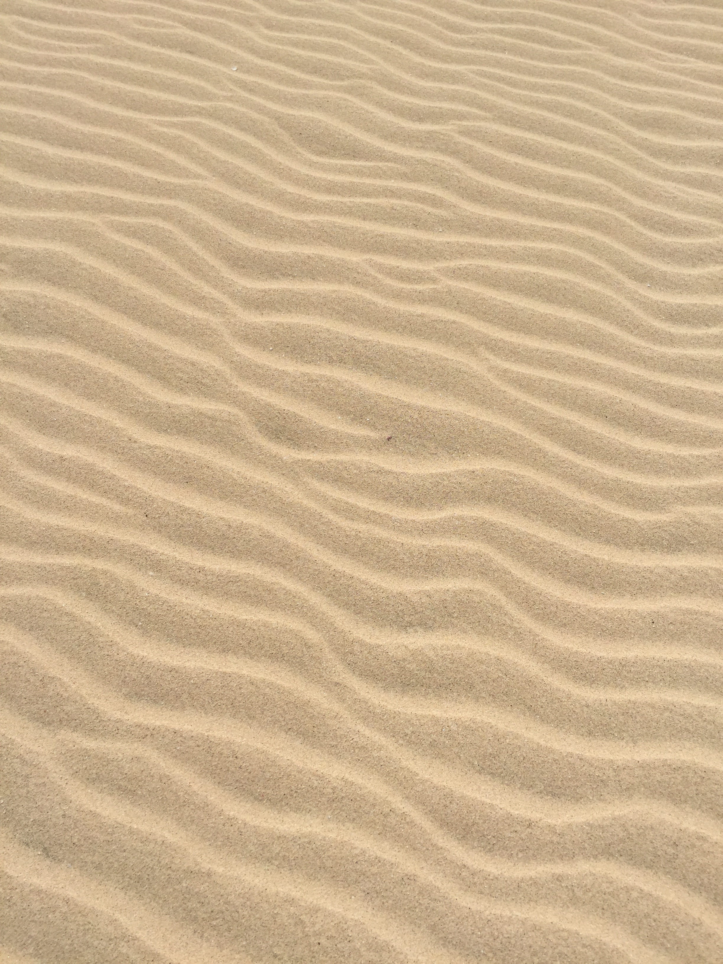 brown sands, beige sand, sand ripple, texture, pattern, sand texture