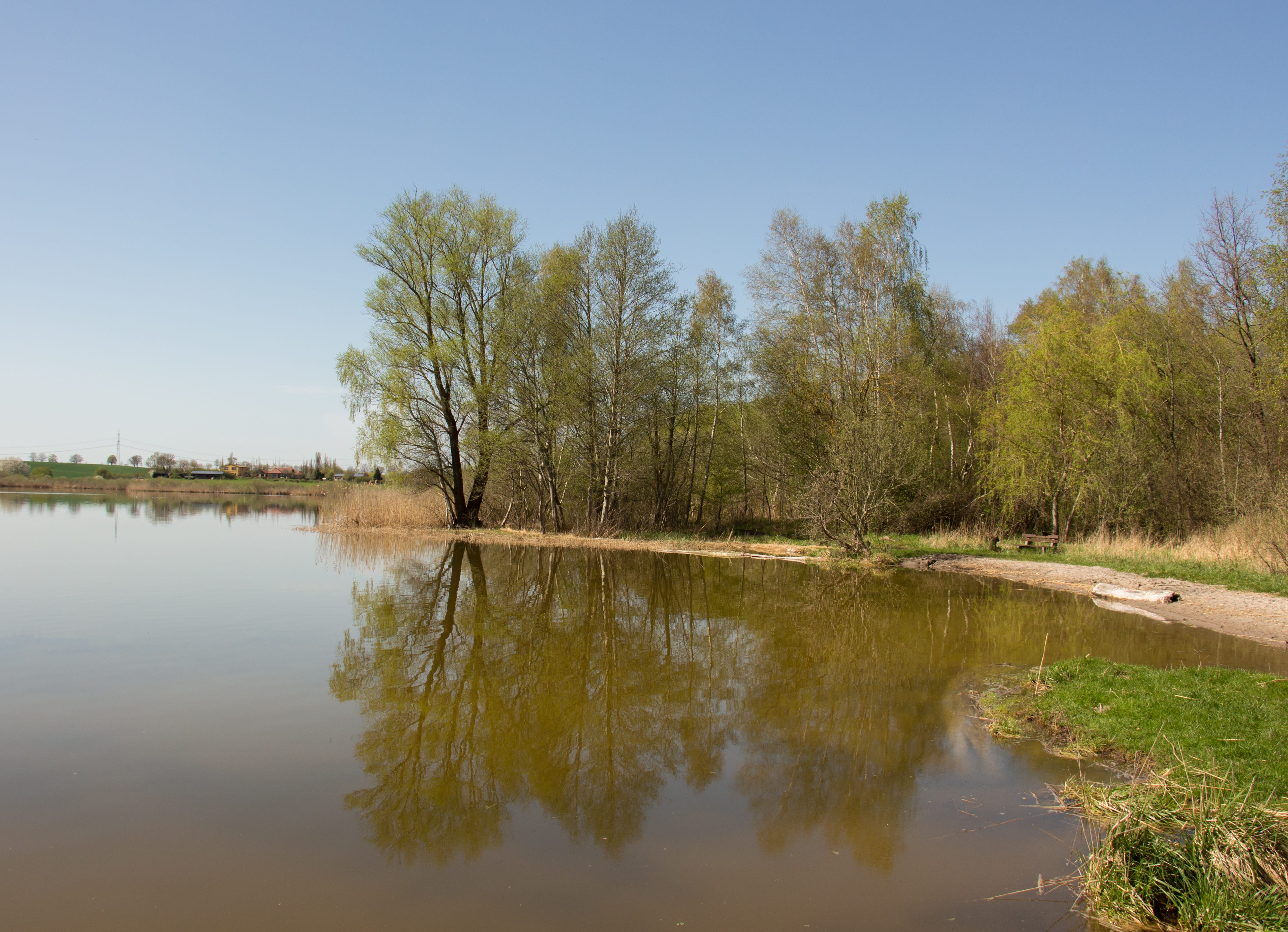 nature, waters, reflection, river, tree, spring, mirroring