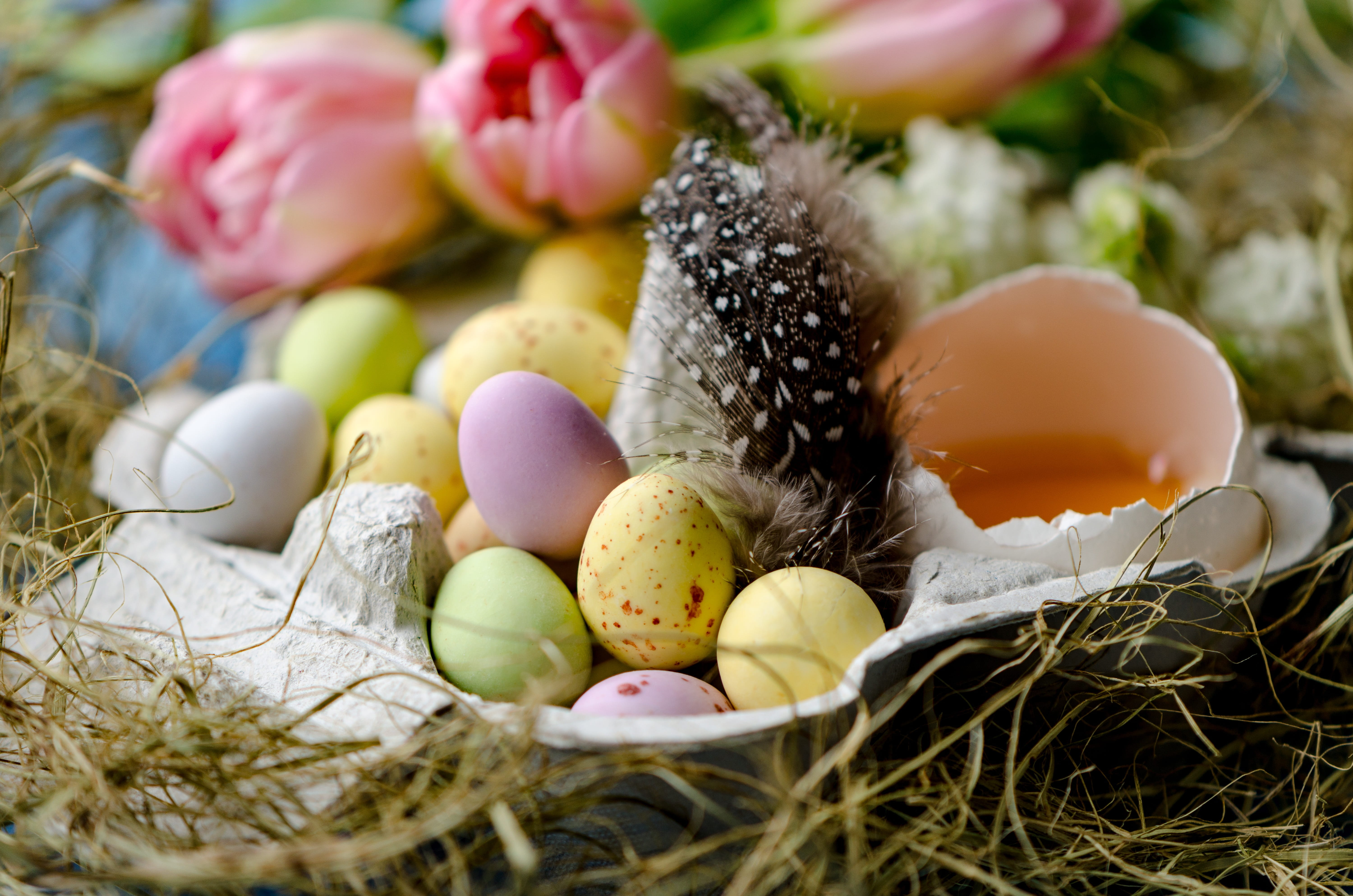 happy easter, easter eggs, lay eggs, chocolate egg, chocolate eggs