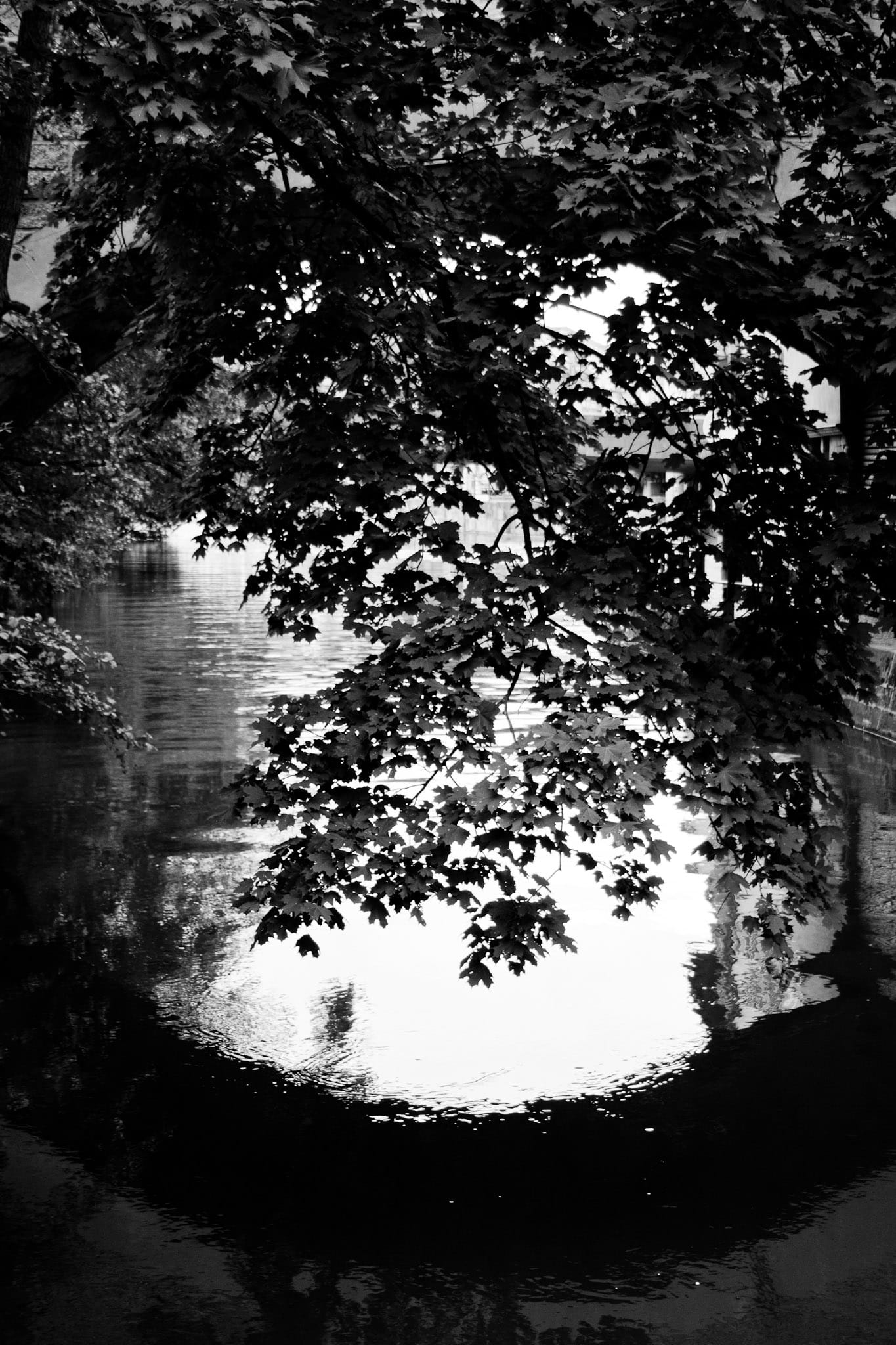 River, Reflection, Leaves, Tree, Nature, river reflection, autumn