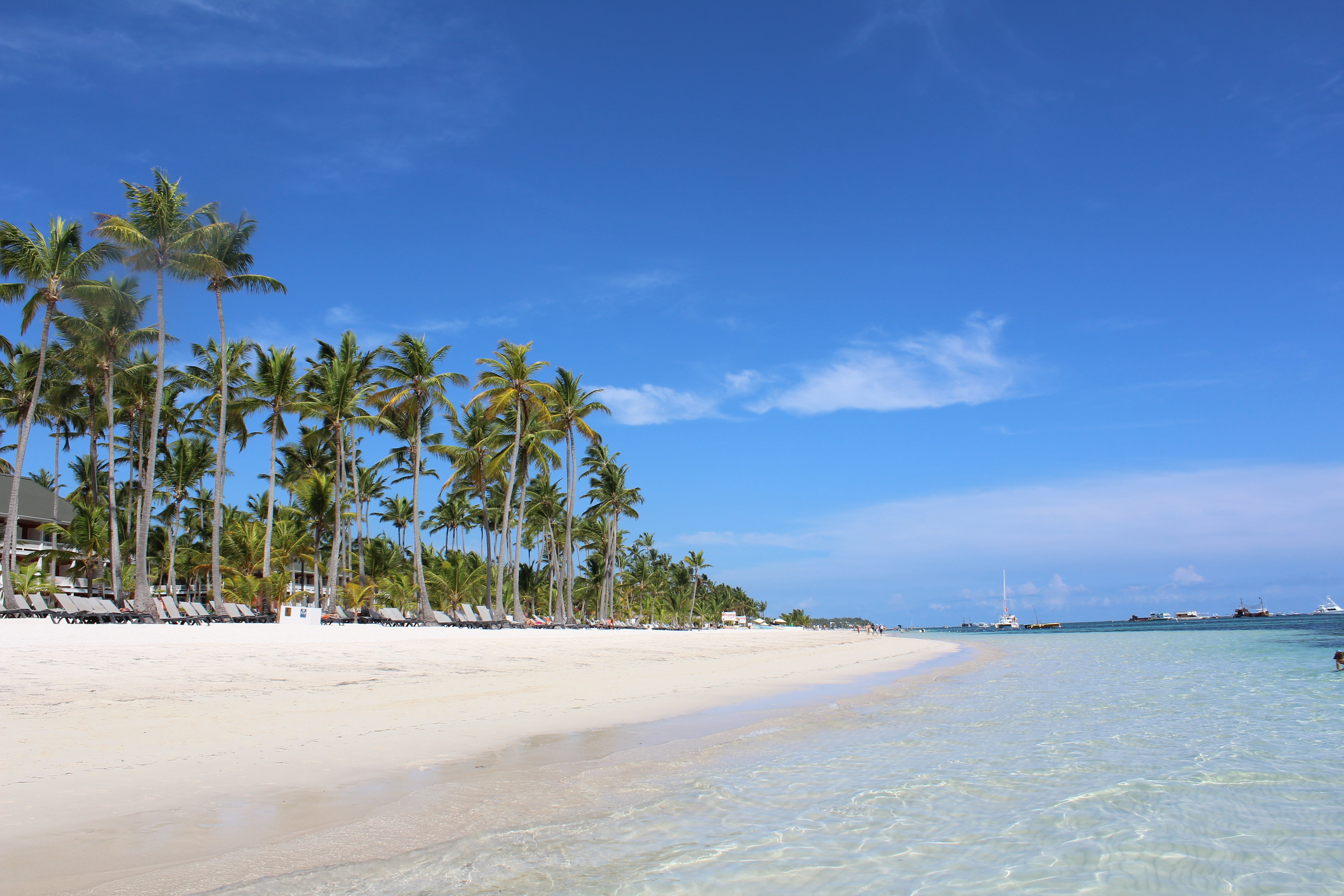 seashore with trees, punta cana, palms, dominican republic, tropical