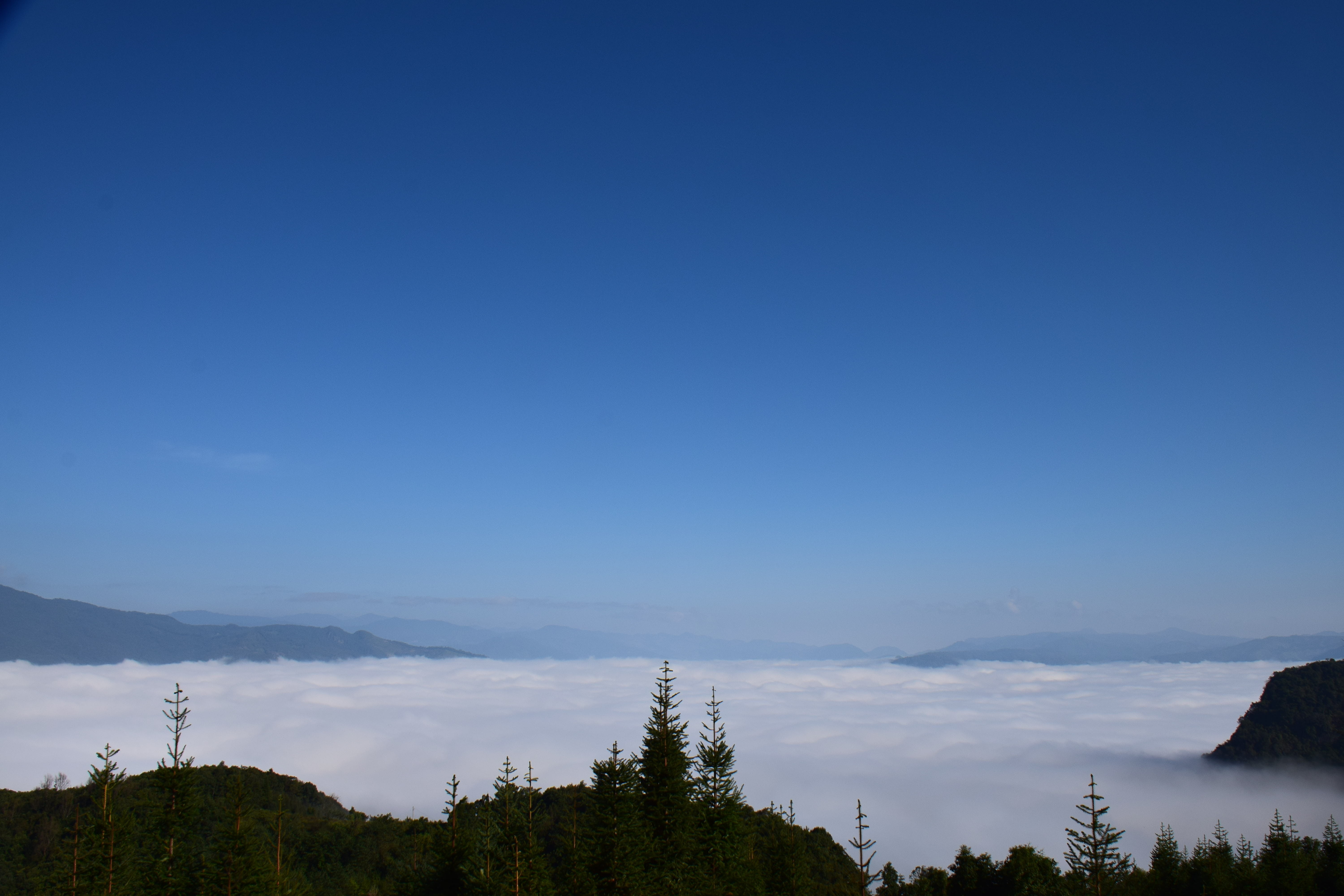 Clouds, View, Mountains, tree, blue, sky, no people, scenics