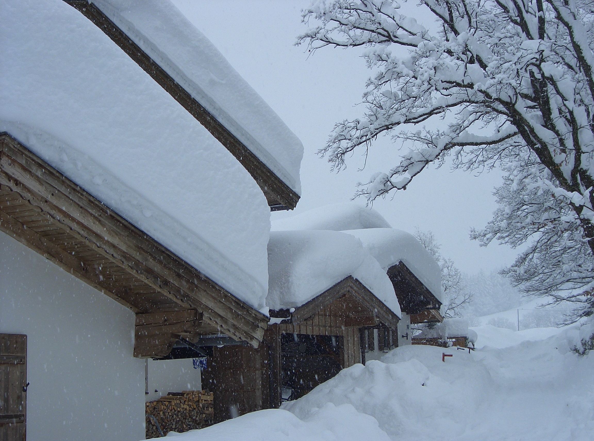 snow, winter, wintry, cold, cold temperature, architecture