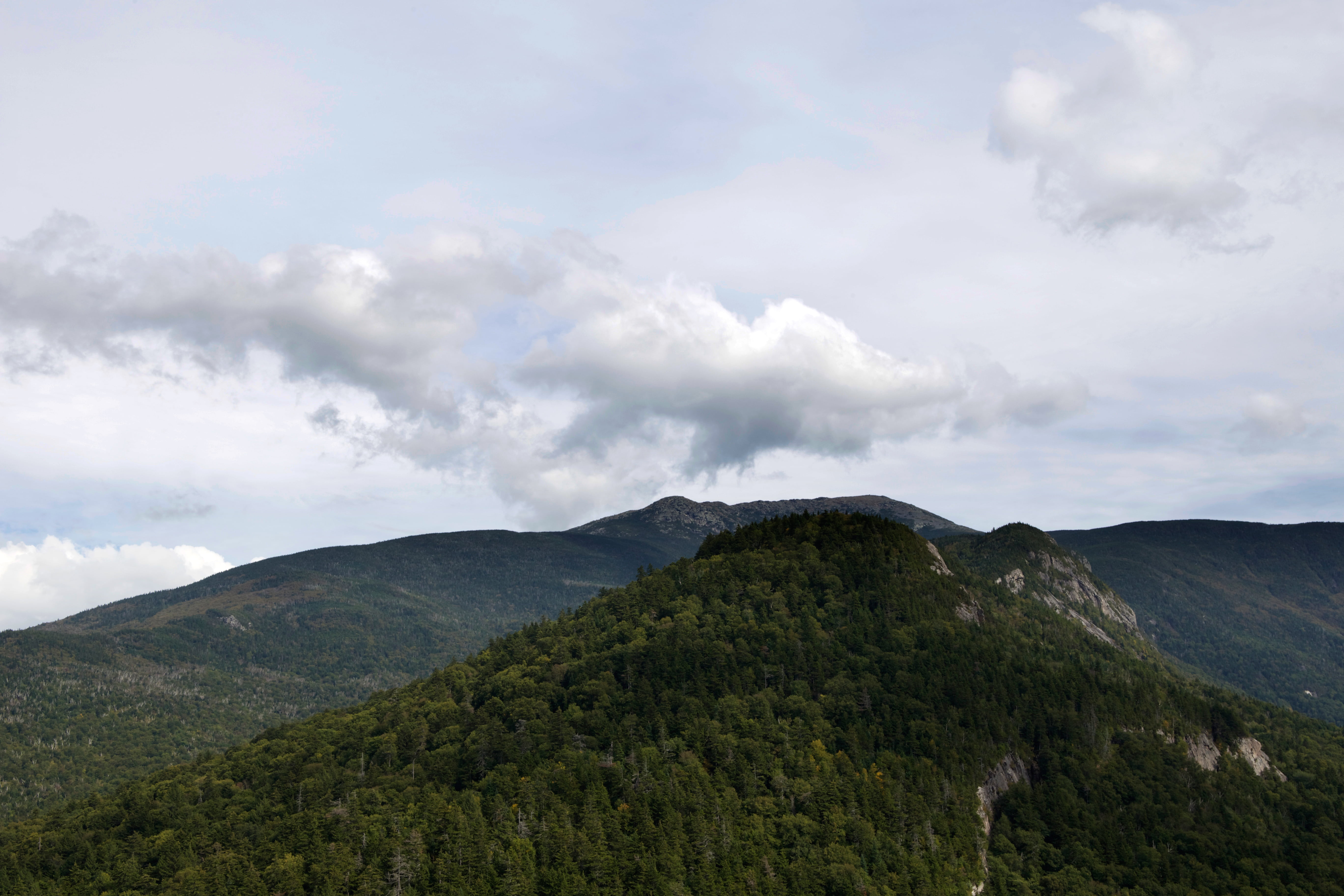 clouds, forest, landscape, mountains, nature, trees, cloud - sky