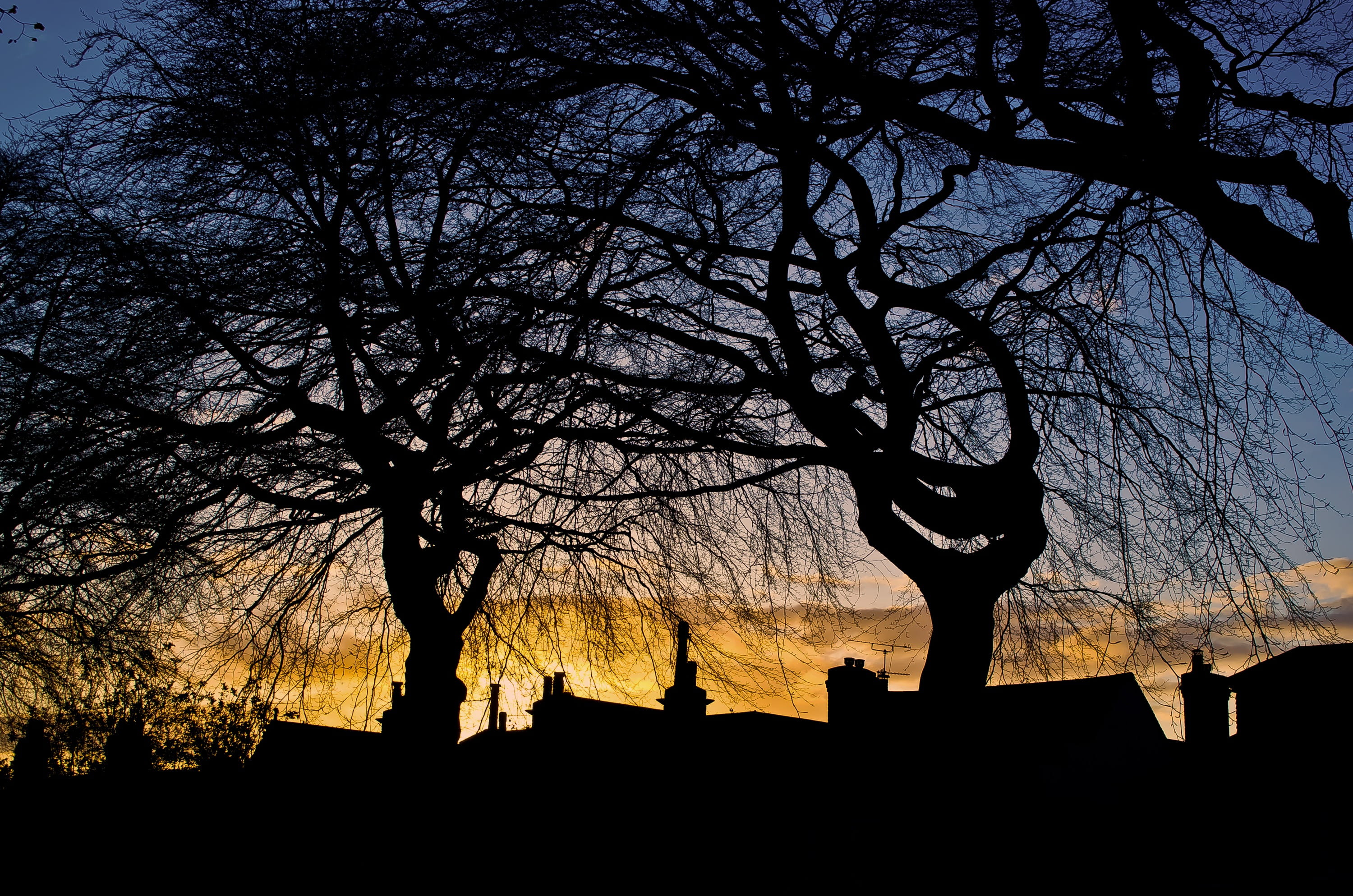 Sunset, Spring, Red, Cloud, Clouds, sky, tree, trees, seasons