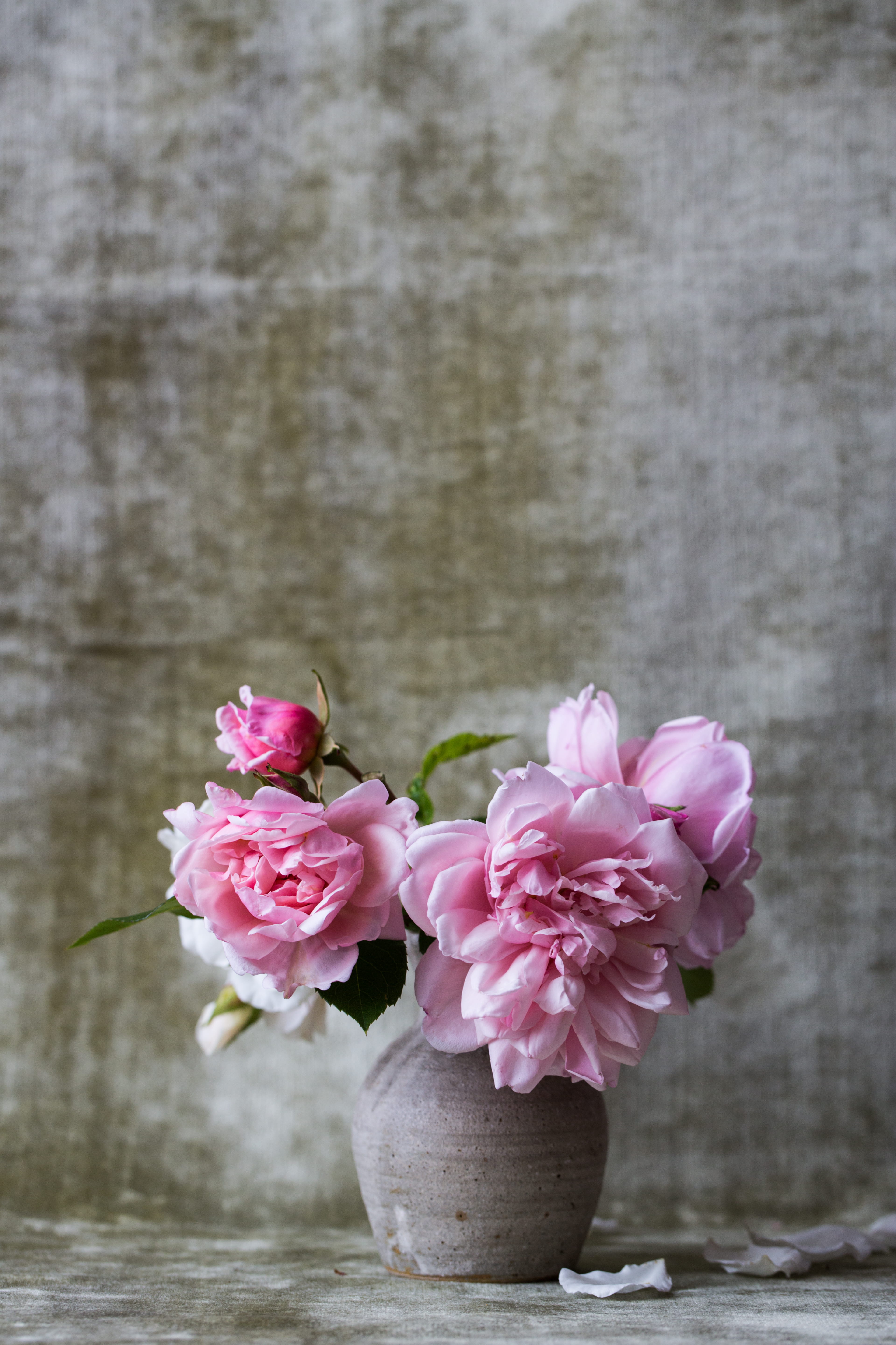 pink flowers on gray ceramic vase, pink peony flowers in vase decor