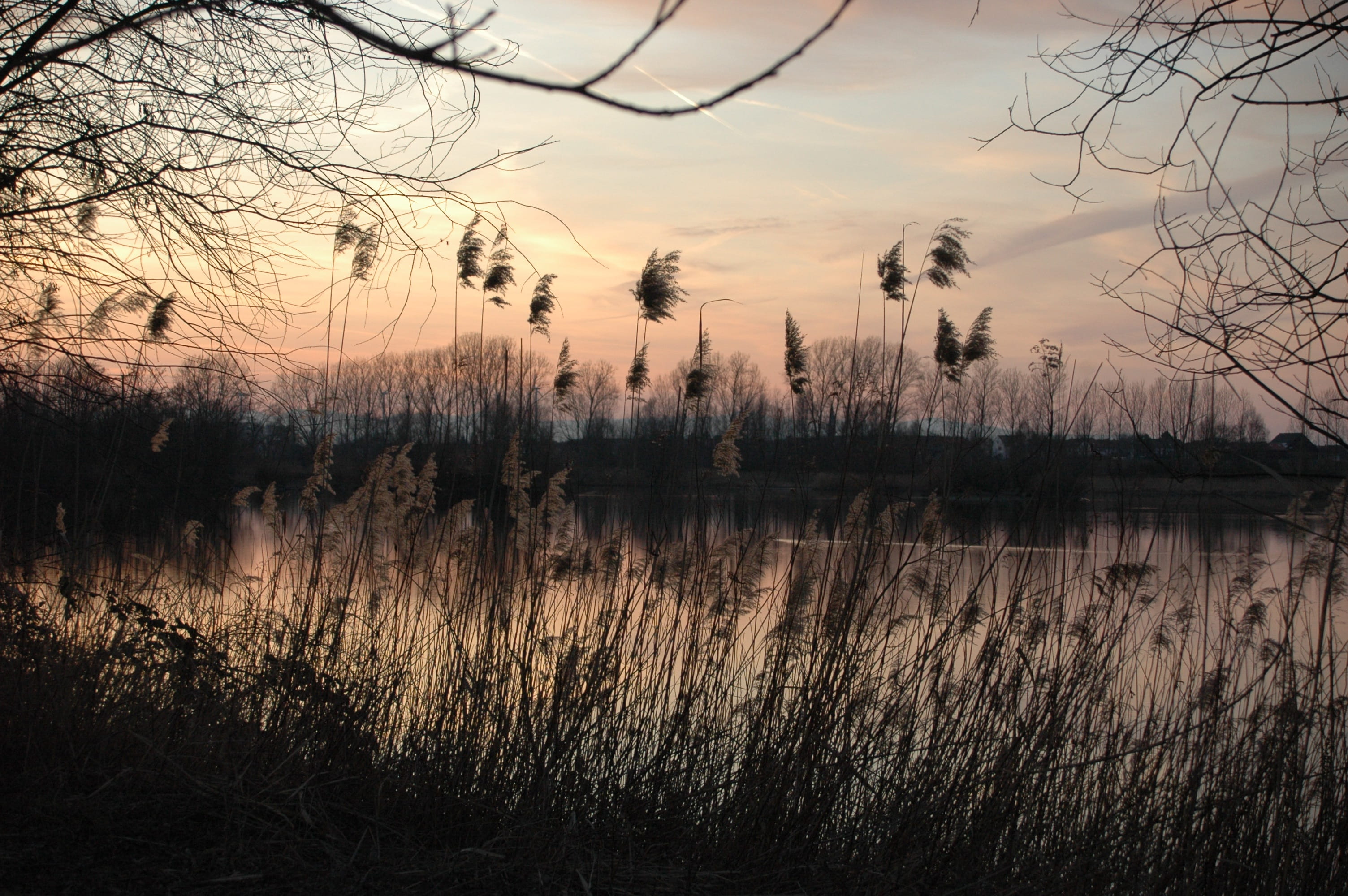 nature, landscape, reflection, tree, dusk, tranquility, sky