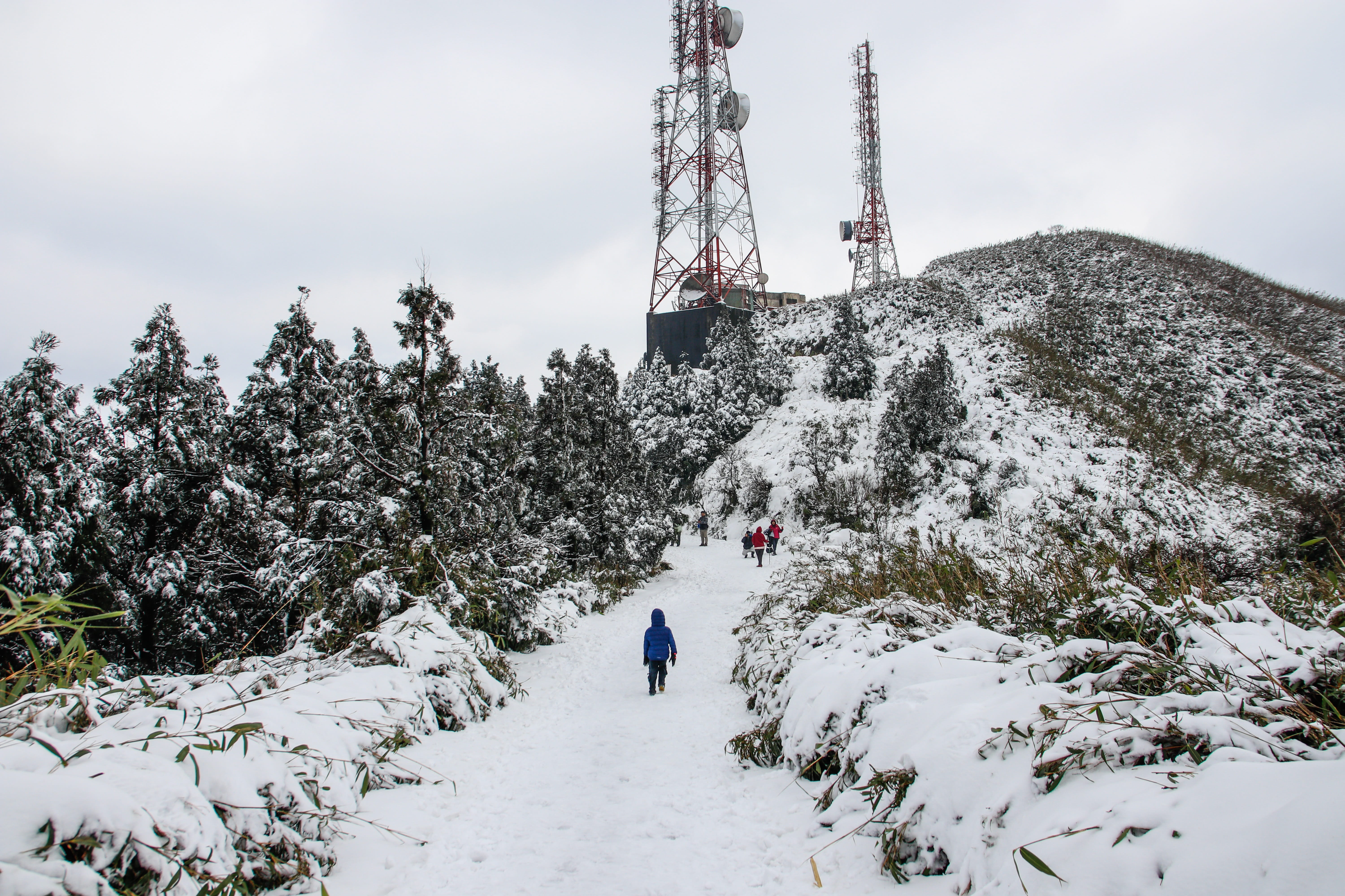 snow, mountain, tower, winter, cold temperature, tree, plant