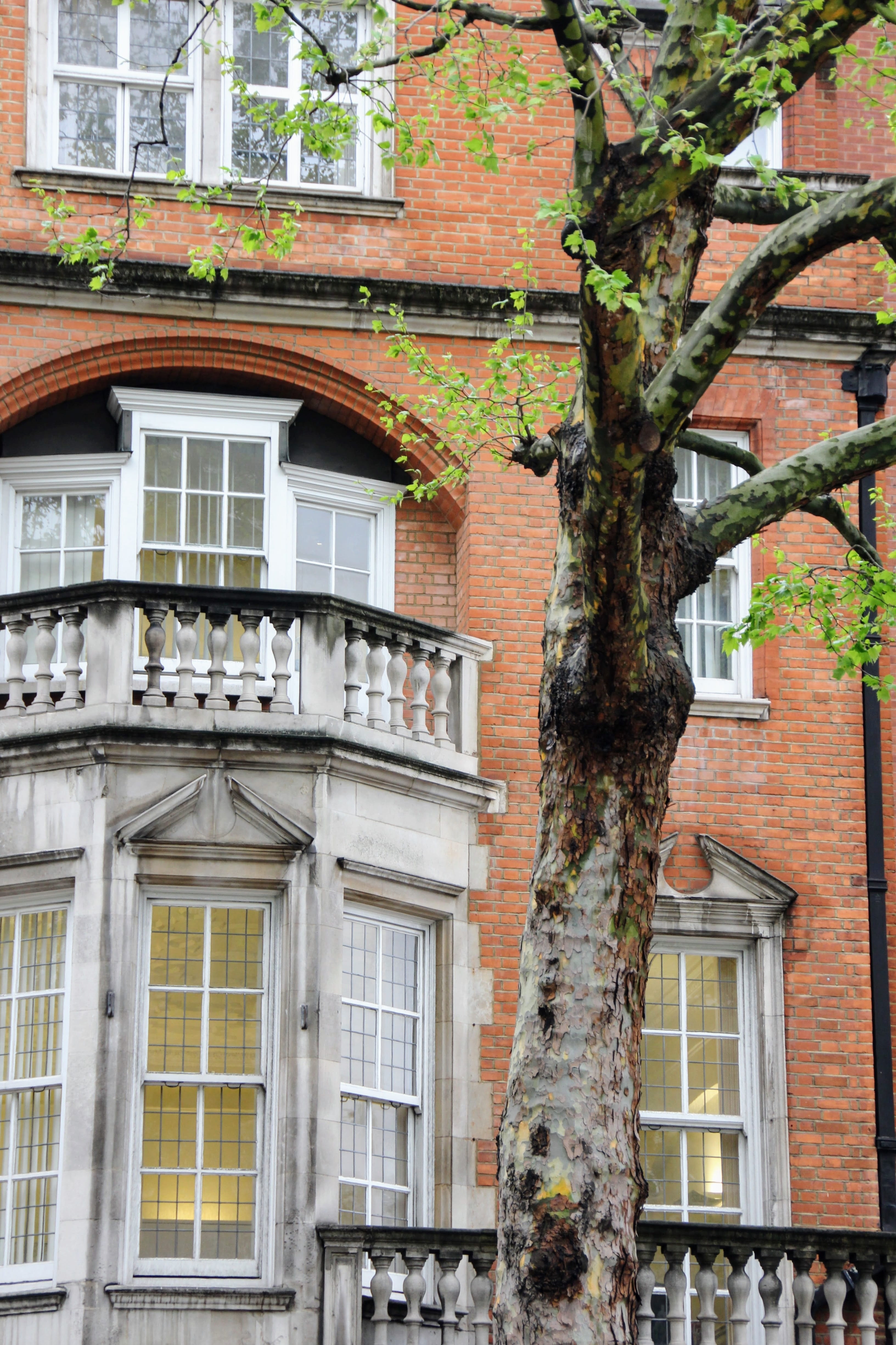 Building, Front, View, Tree, front view, bay window, facade