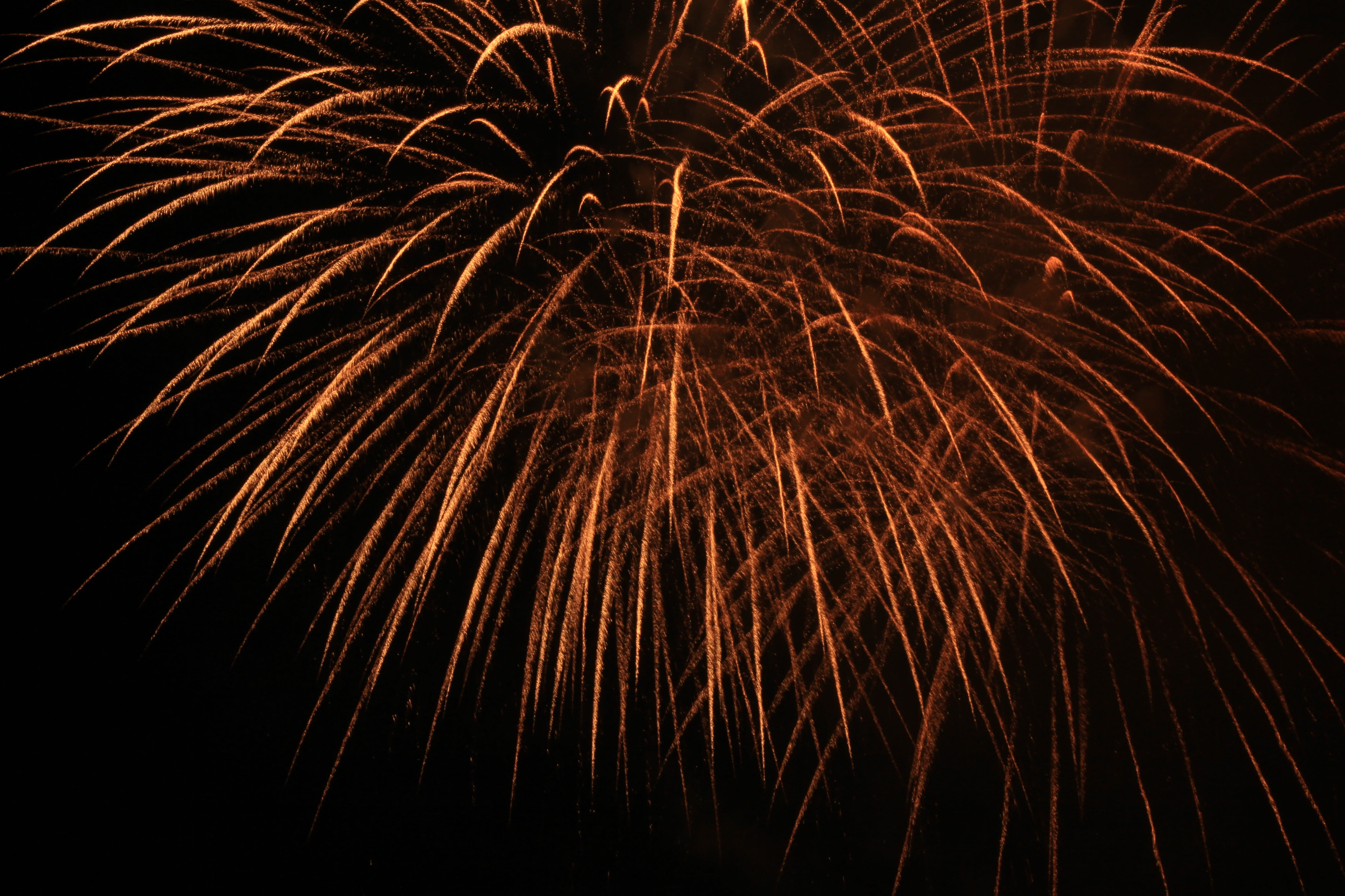 fireworks, explosion, laburnum, night, motion, event, illuminated