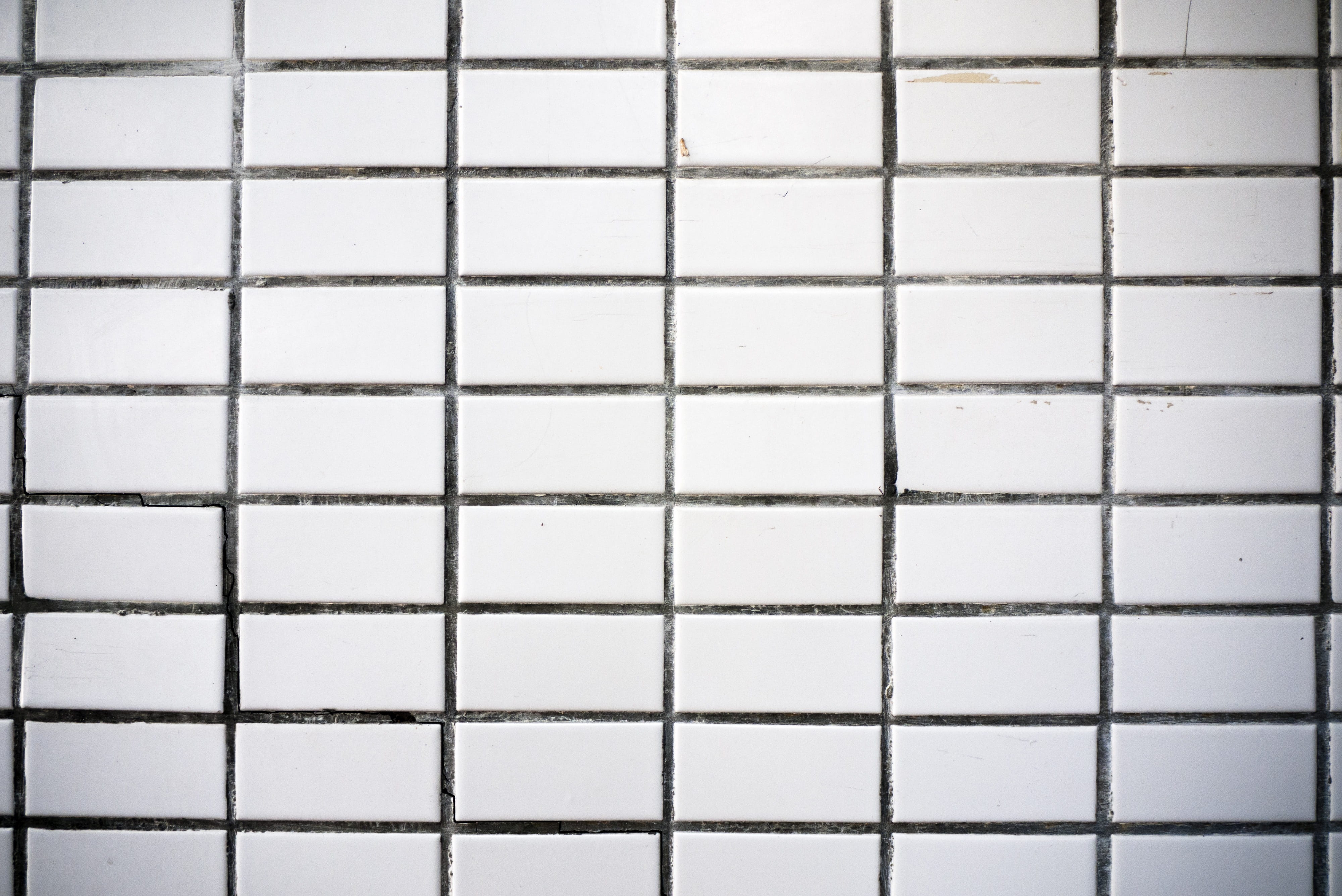 background, withered, cement, texture, pattern, backgrounds