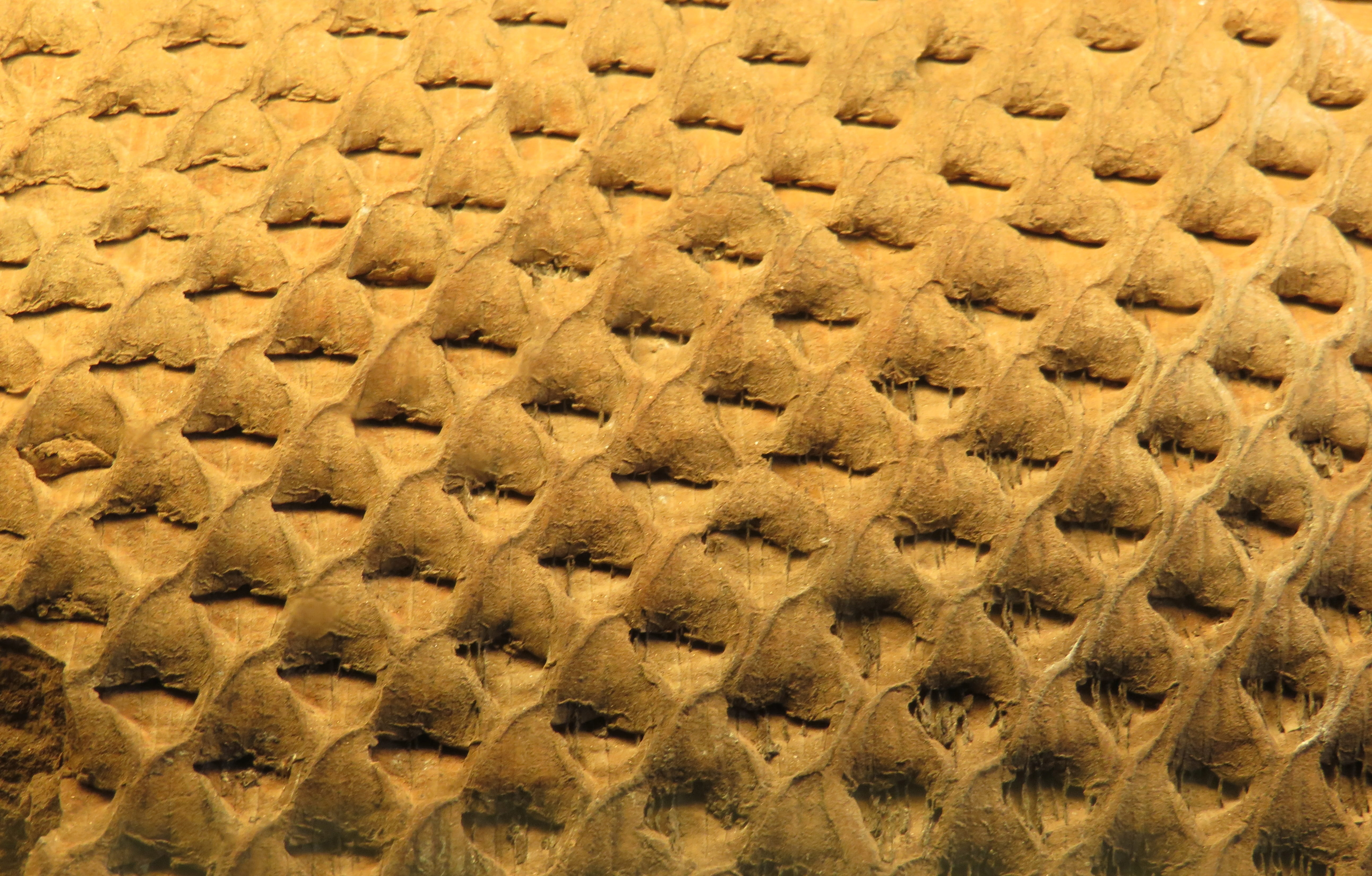 background, pattern, texture, nature, petrification, full frame