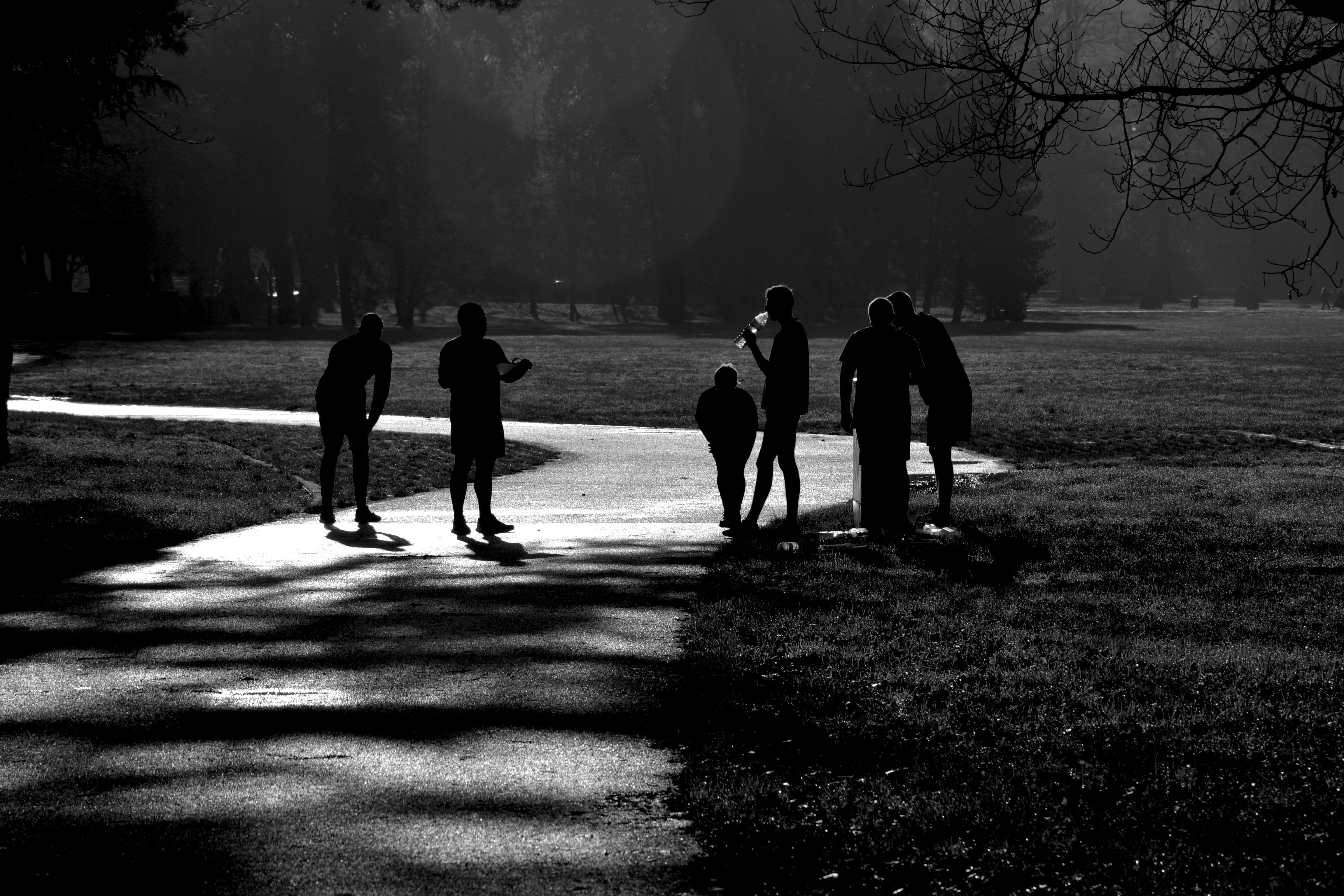 early morning, runners, black and white, path, road, shadows