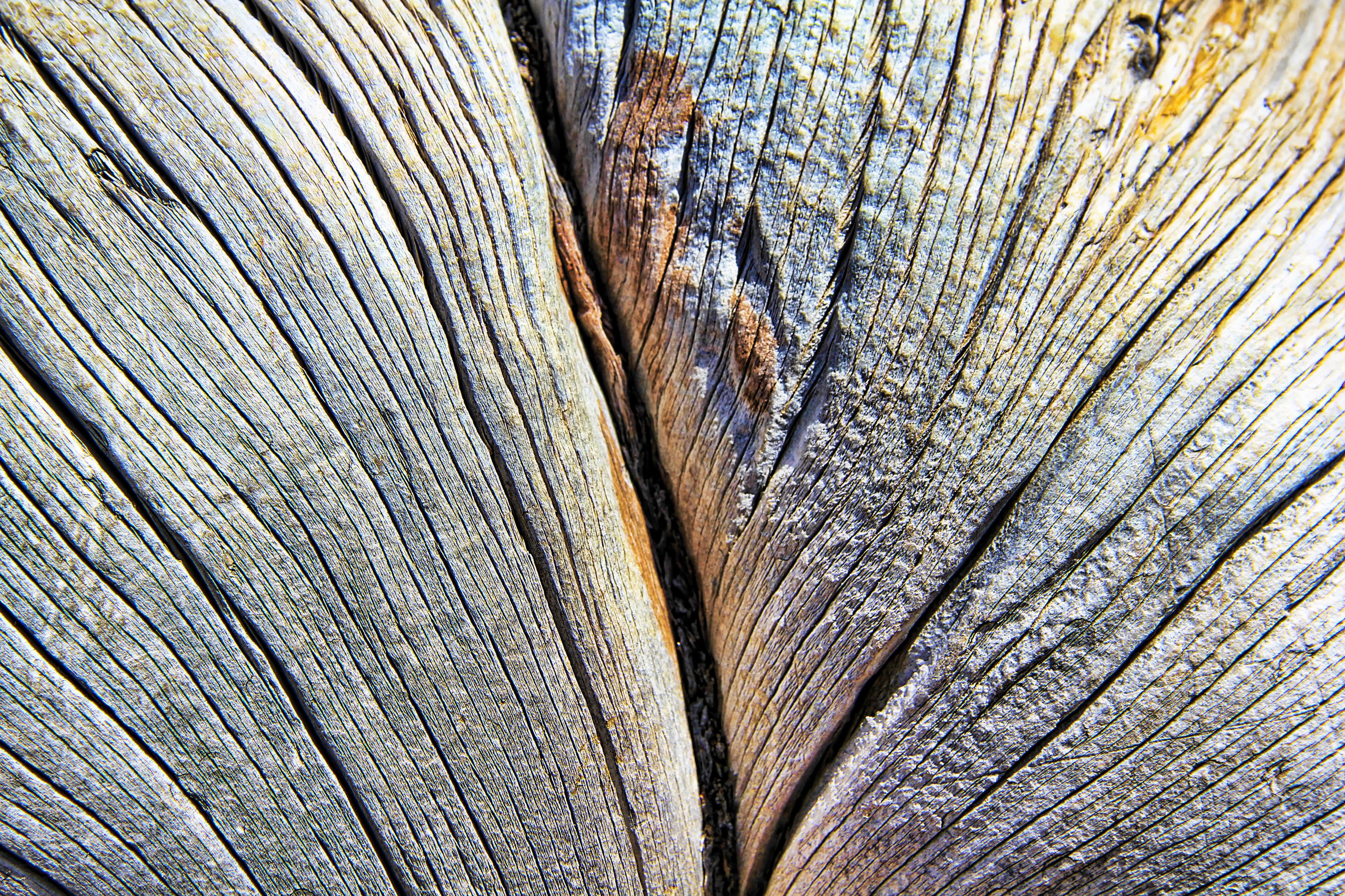 texture, wood, lines, grain, structure, background, pattern