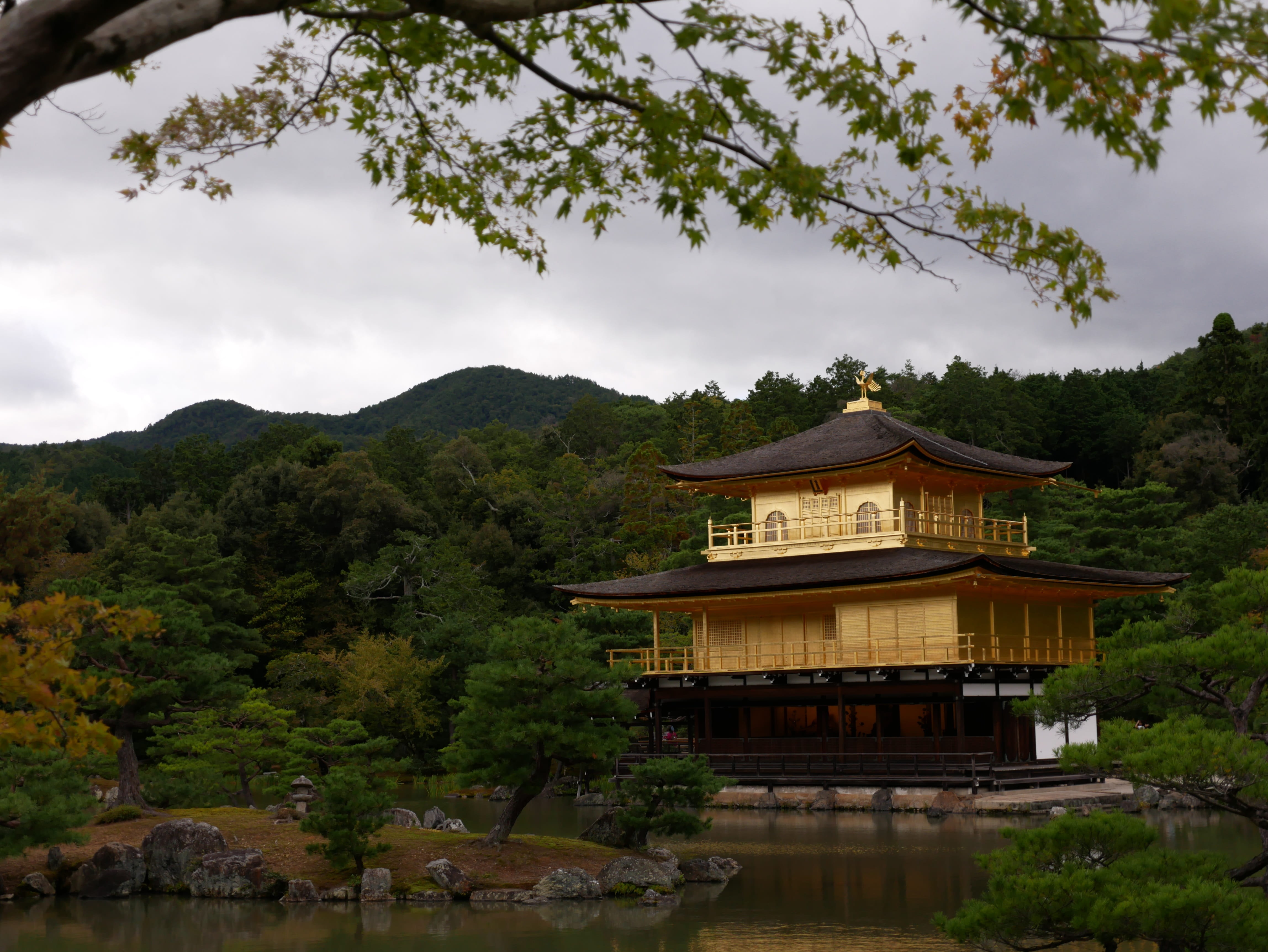 japan, temple, section, tree, plant, architecture, built structure