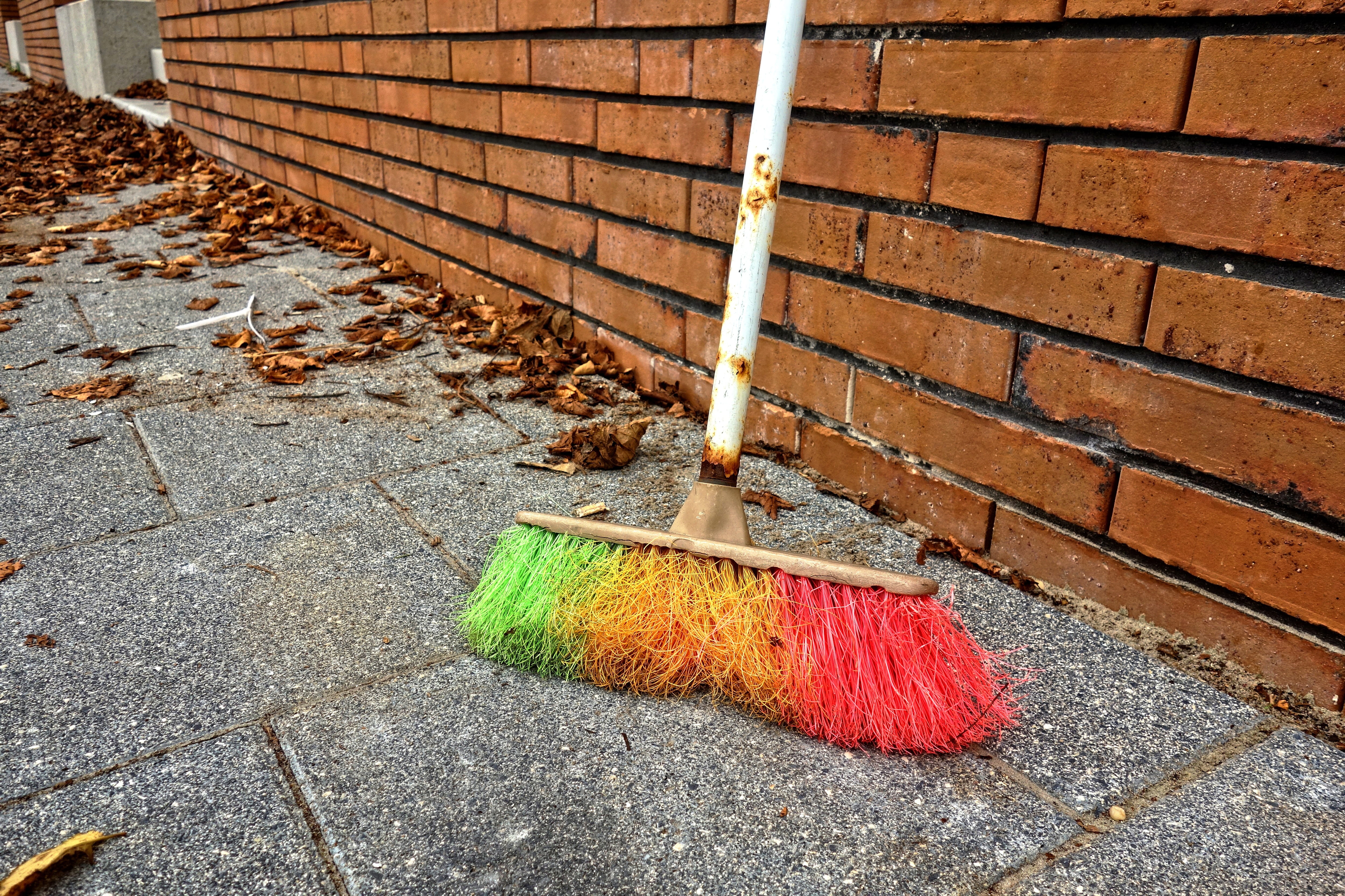 broom, sweeping, dust, cleaning, tool, housework, domestic