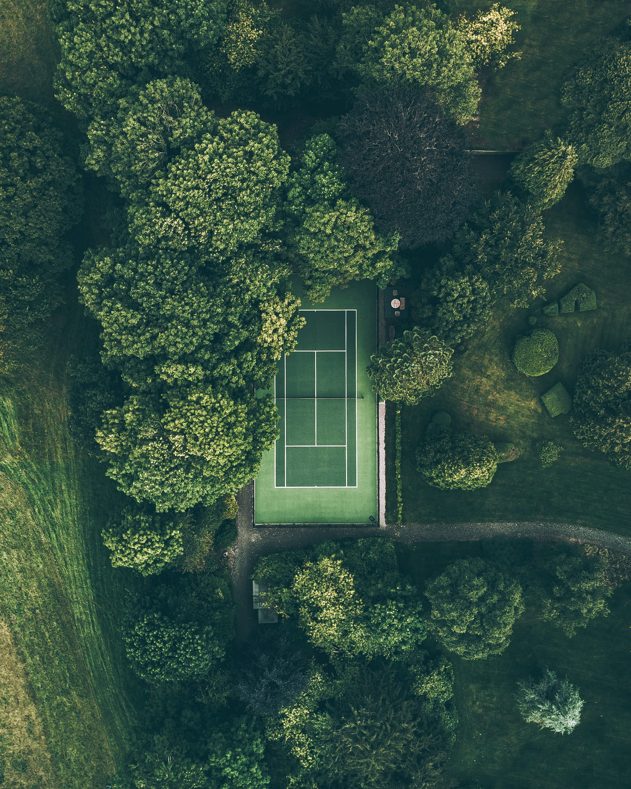 aerial photo of tennis court surrounded with trees, aerial view of tennis court between trees