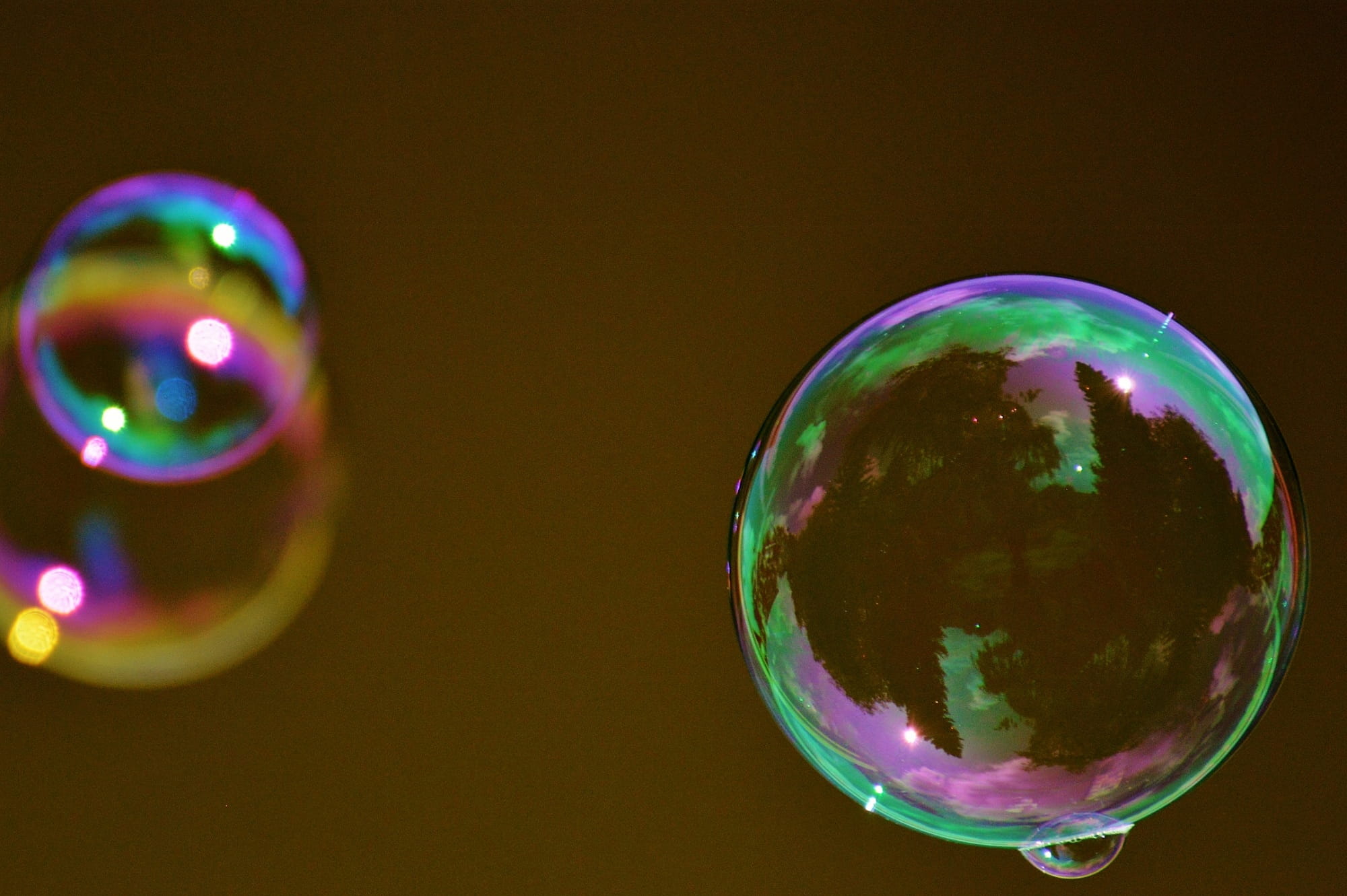 macro photography of bubbles, soap bubble, colorful, ball, soapy water