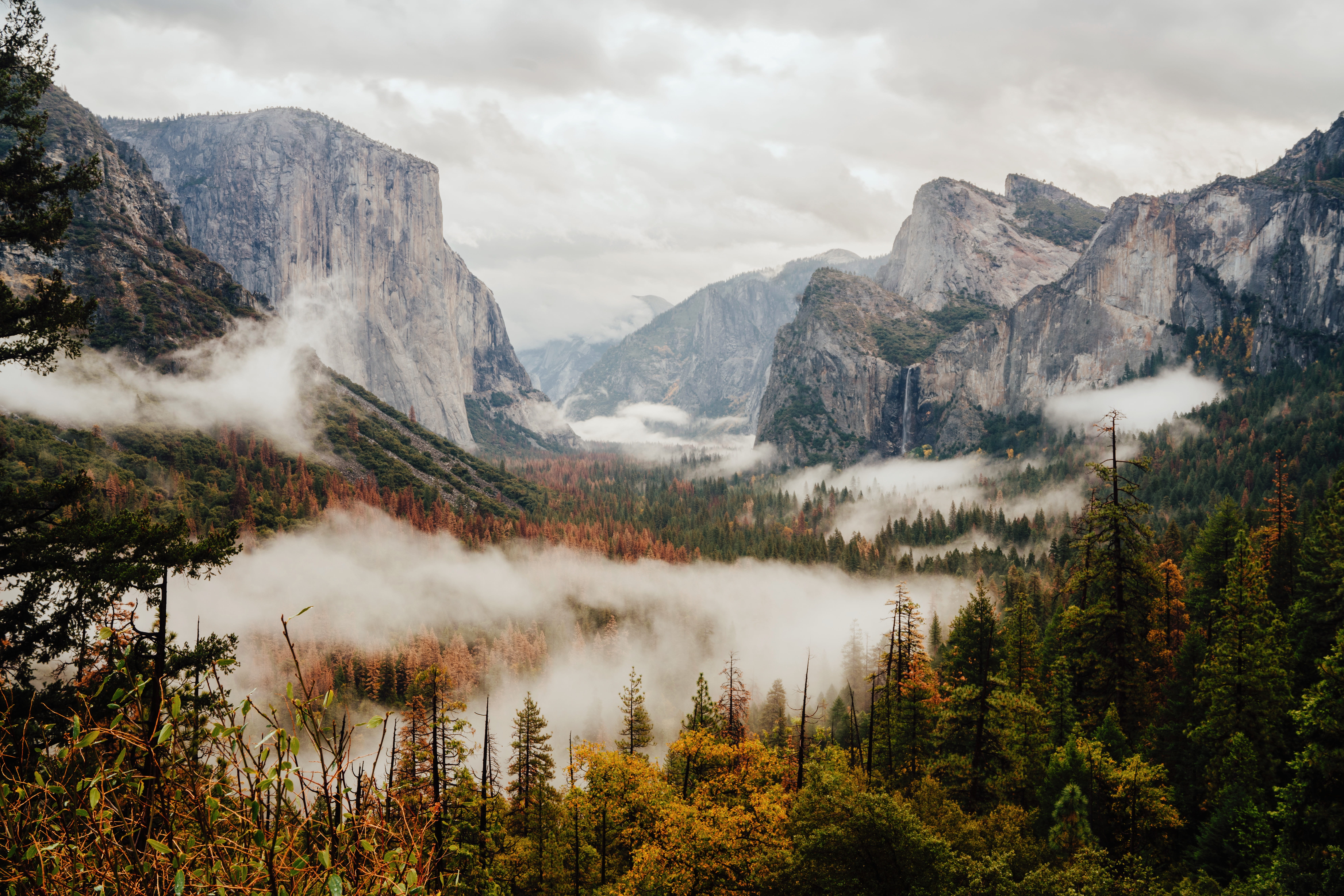 aerial photography of foggy forest overlooking mountain range, pine trees surrounded with mountains