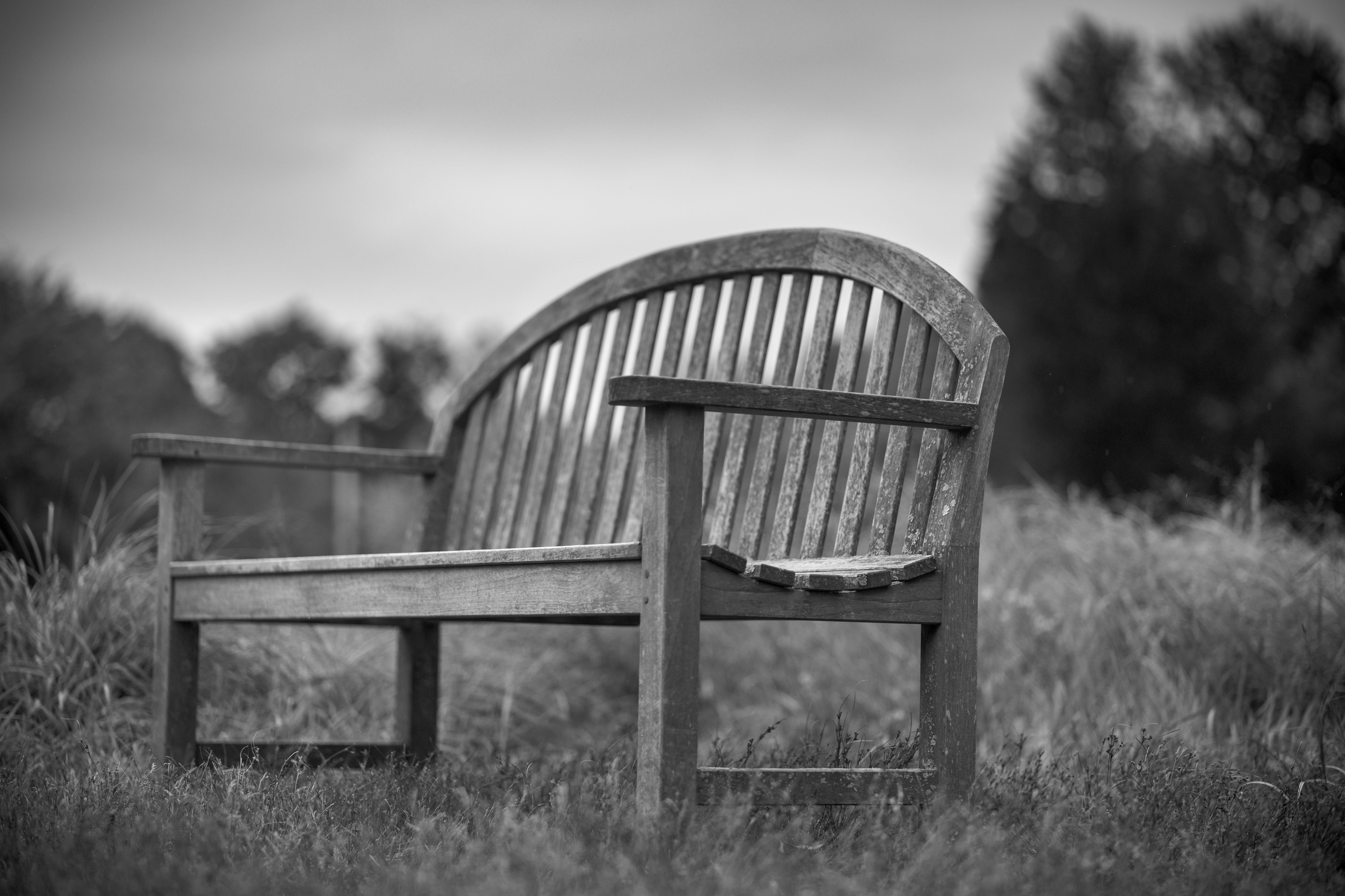 Bench, Black And White, Landscape, no people, outdoors, rural scene