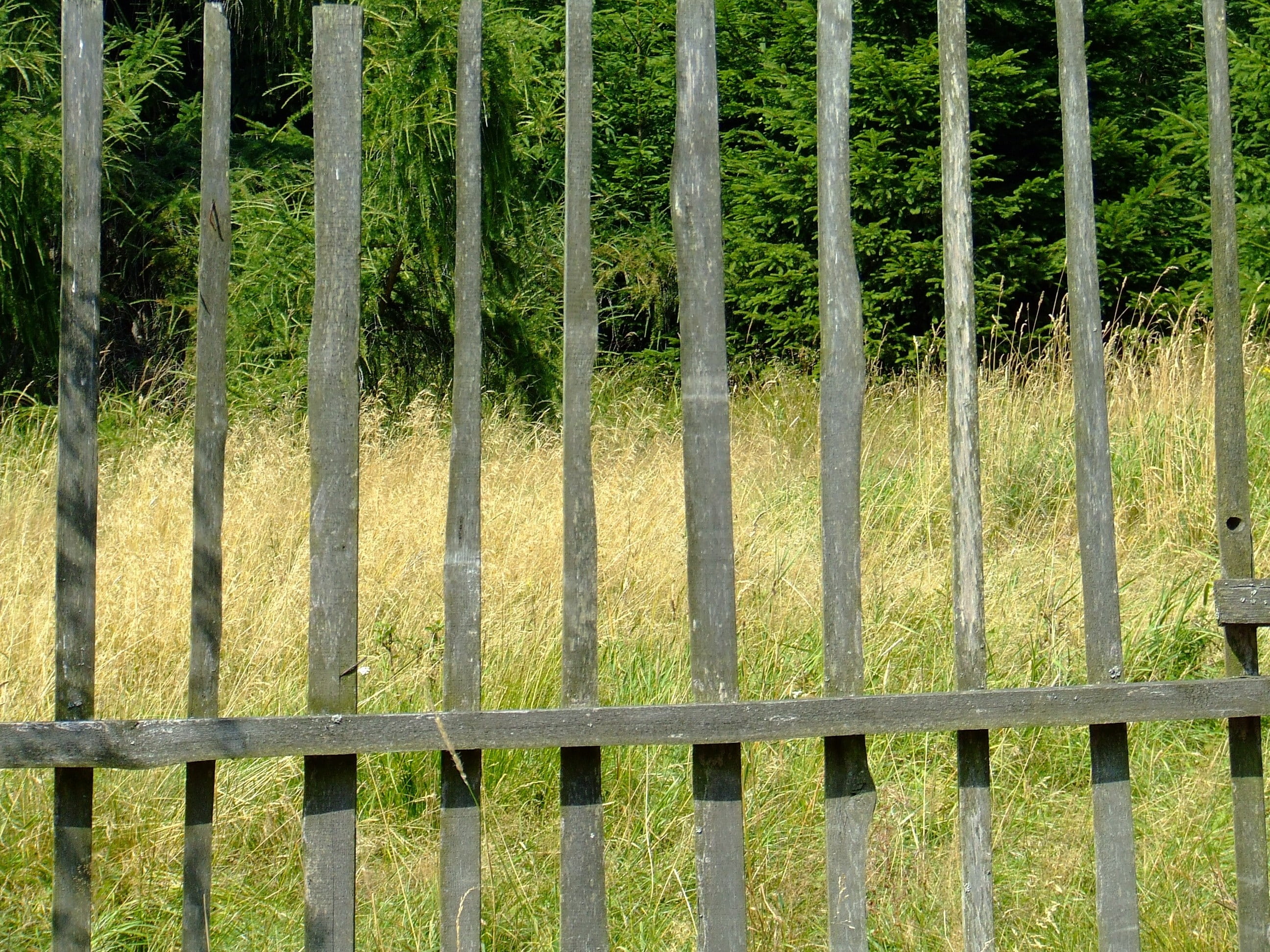 fence, planks, view, nature, outdoors, backgrounds, security