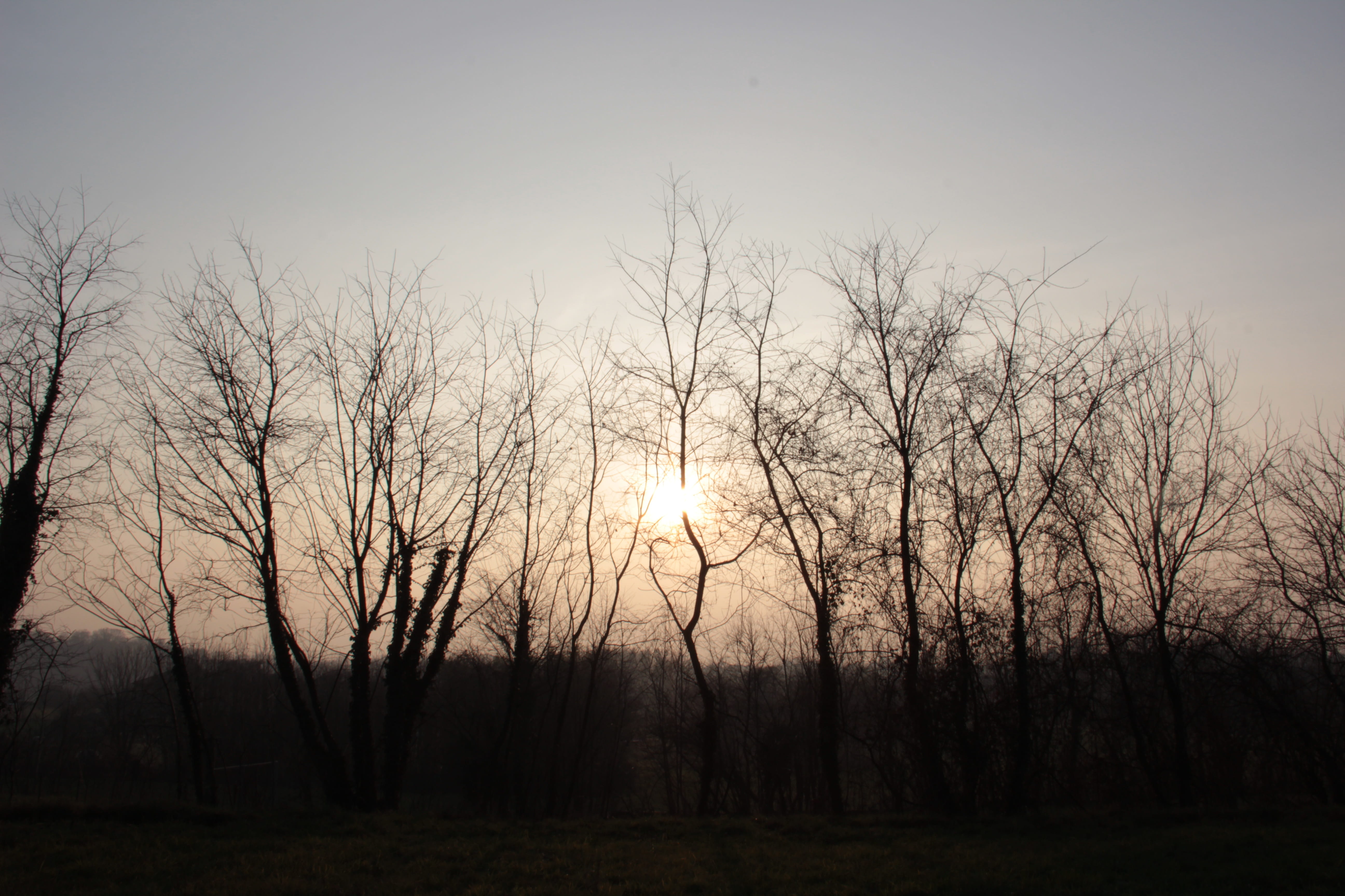 Winter, Sunset, Cold, winter sunset, brianza, nature, trees