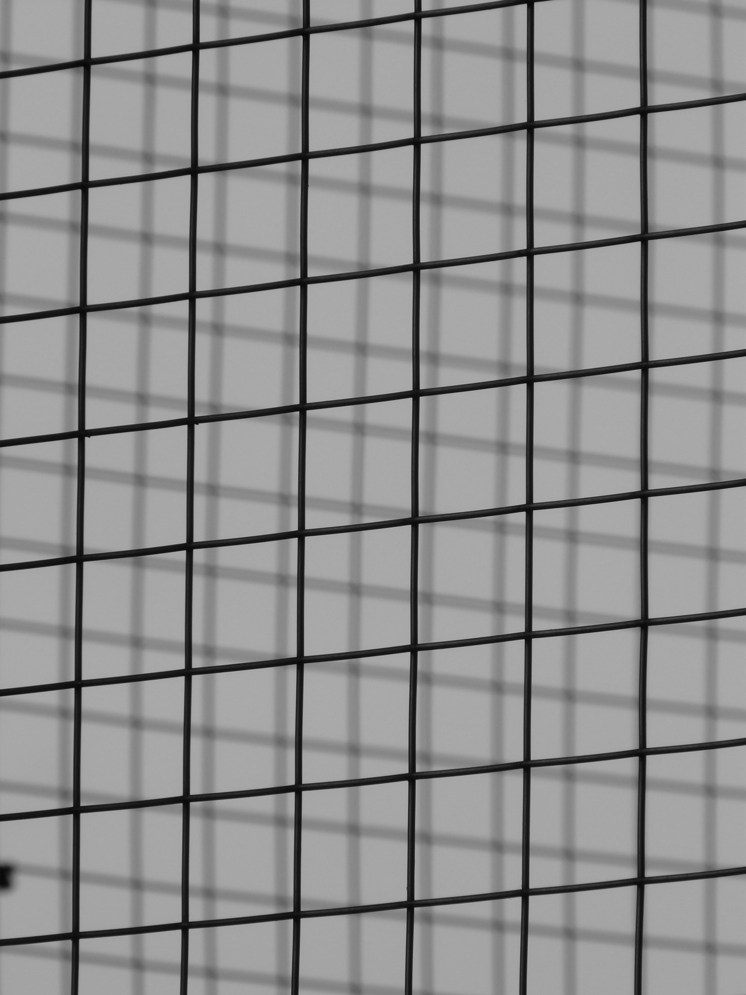 grid, steel grid, metal, wire, black and white, architecture