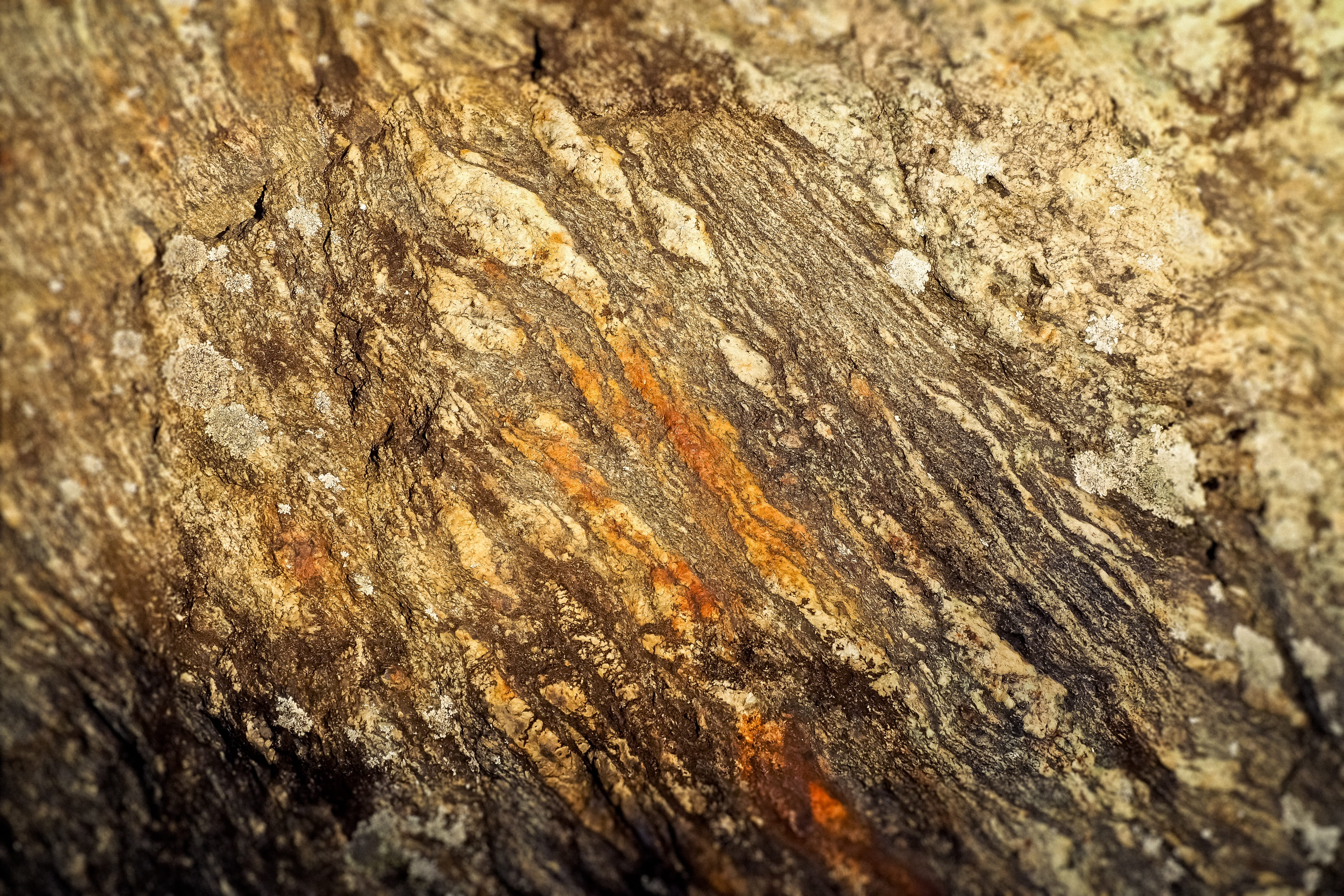 stone, nature, background, texture, pattern, surface, color