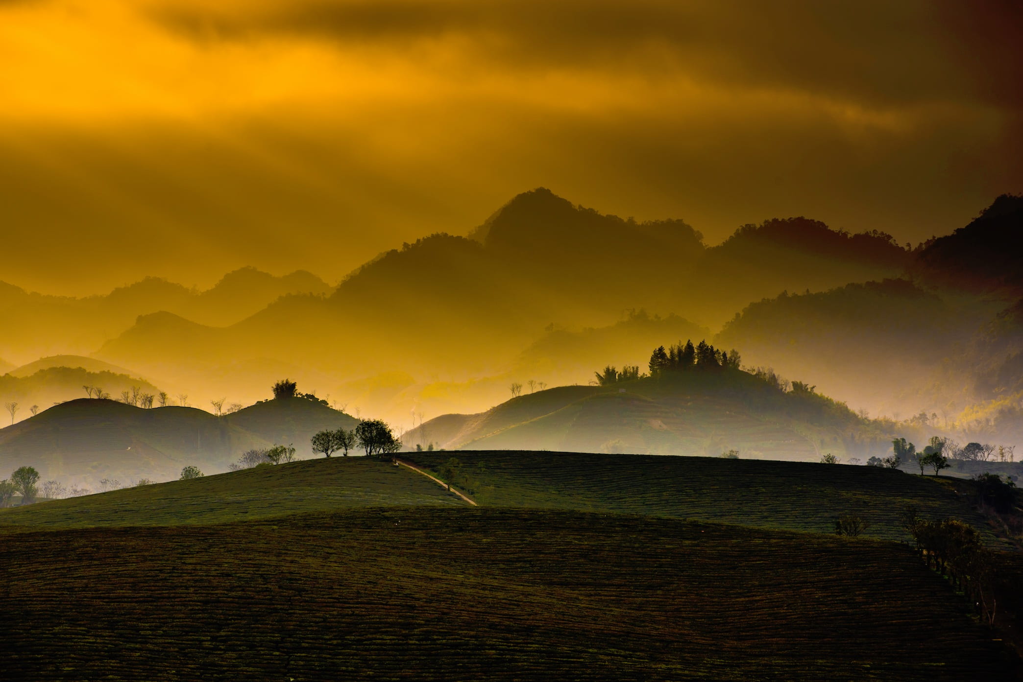 nature, mountains, trees, grass, plains, sky, cloud, sunlight