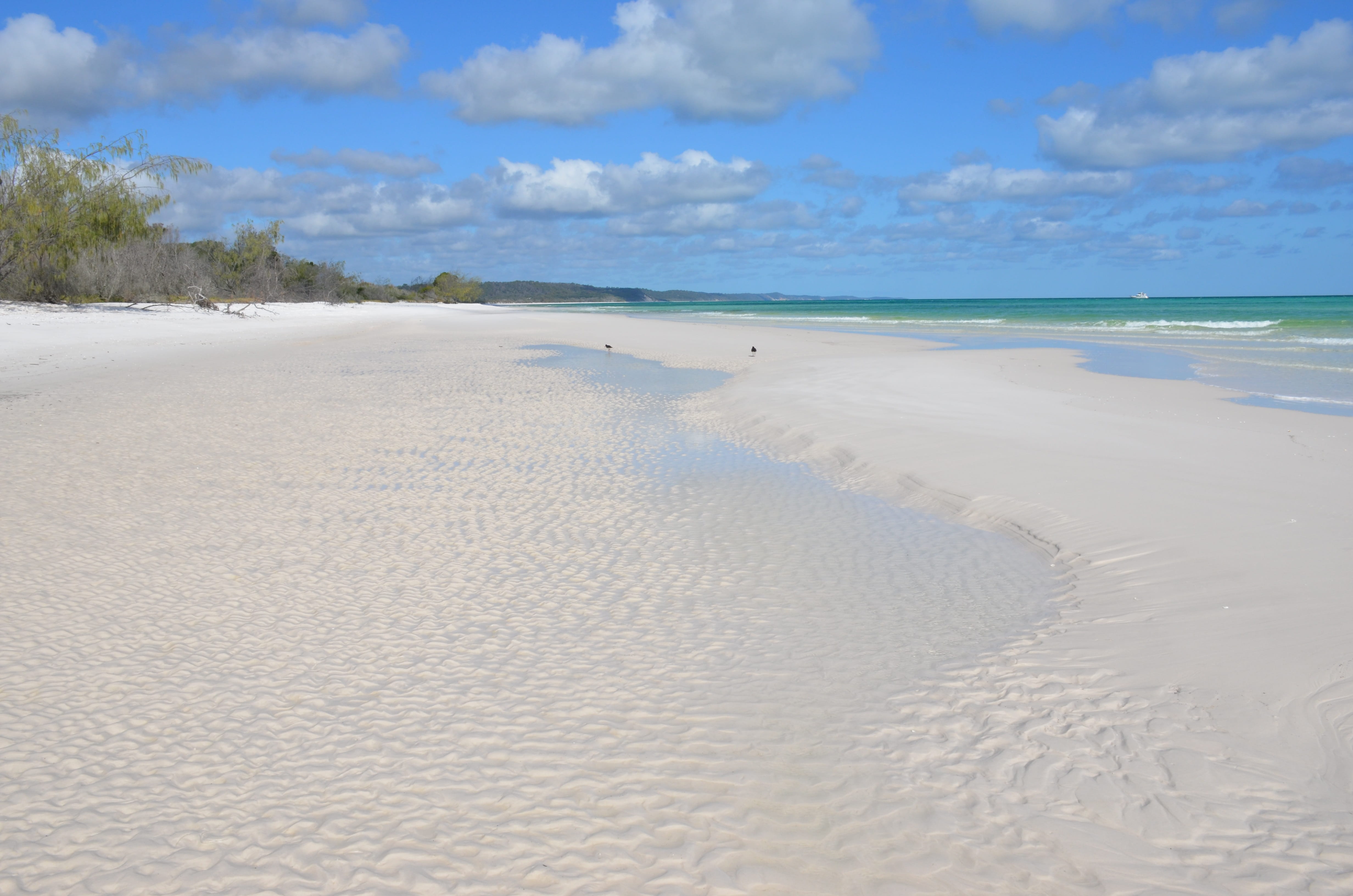 Free download | HD wallpaper: fraser island, beach, ripples, sand ...