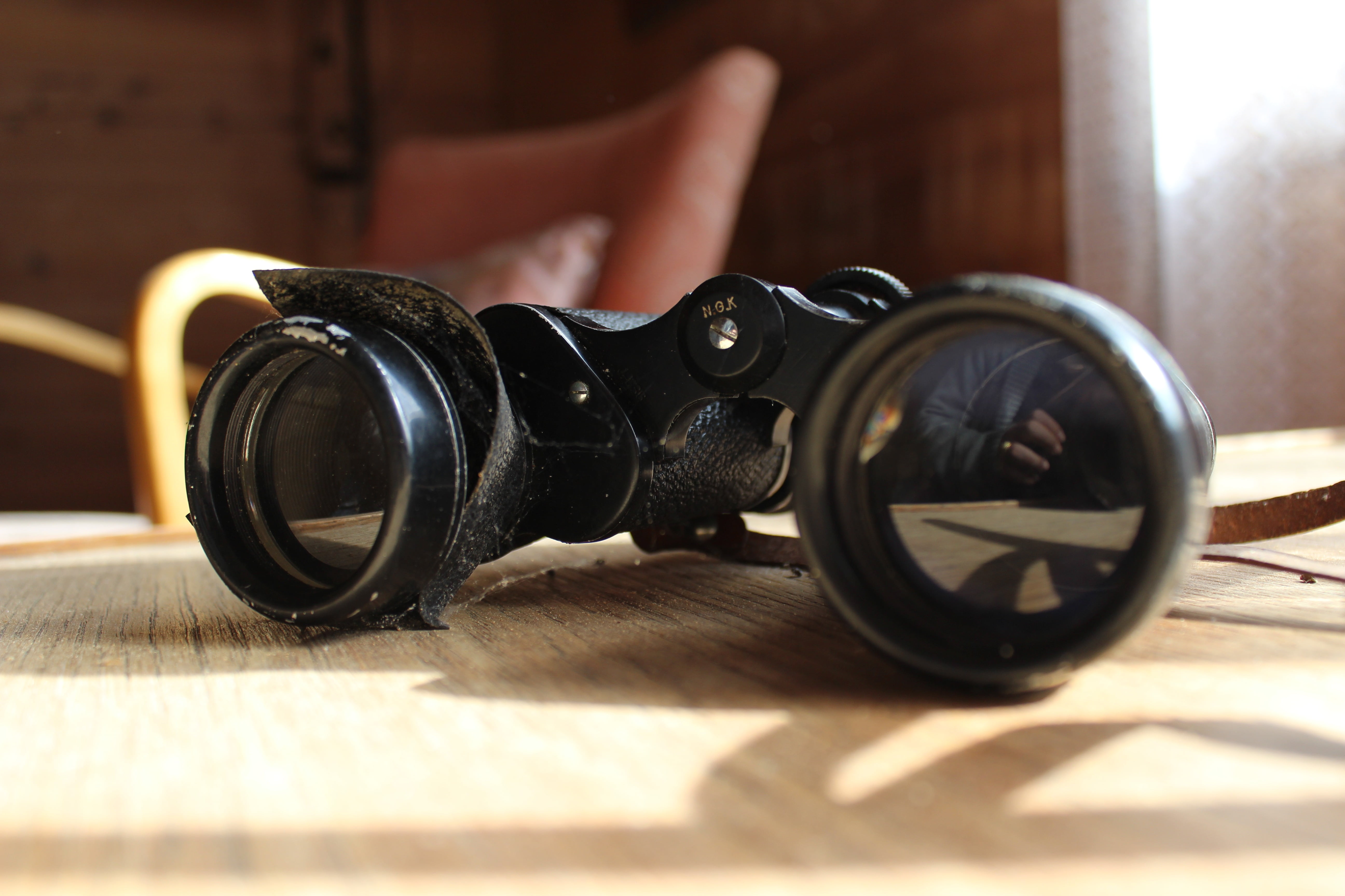 twins, object, binoculars, indoors, table, wood - material