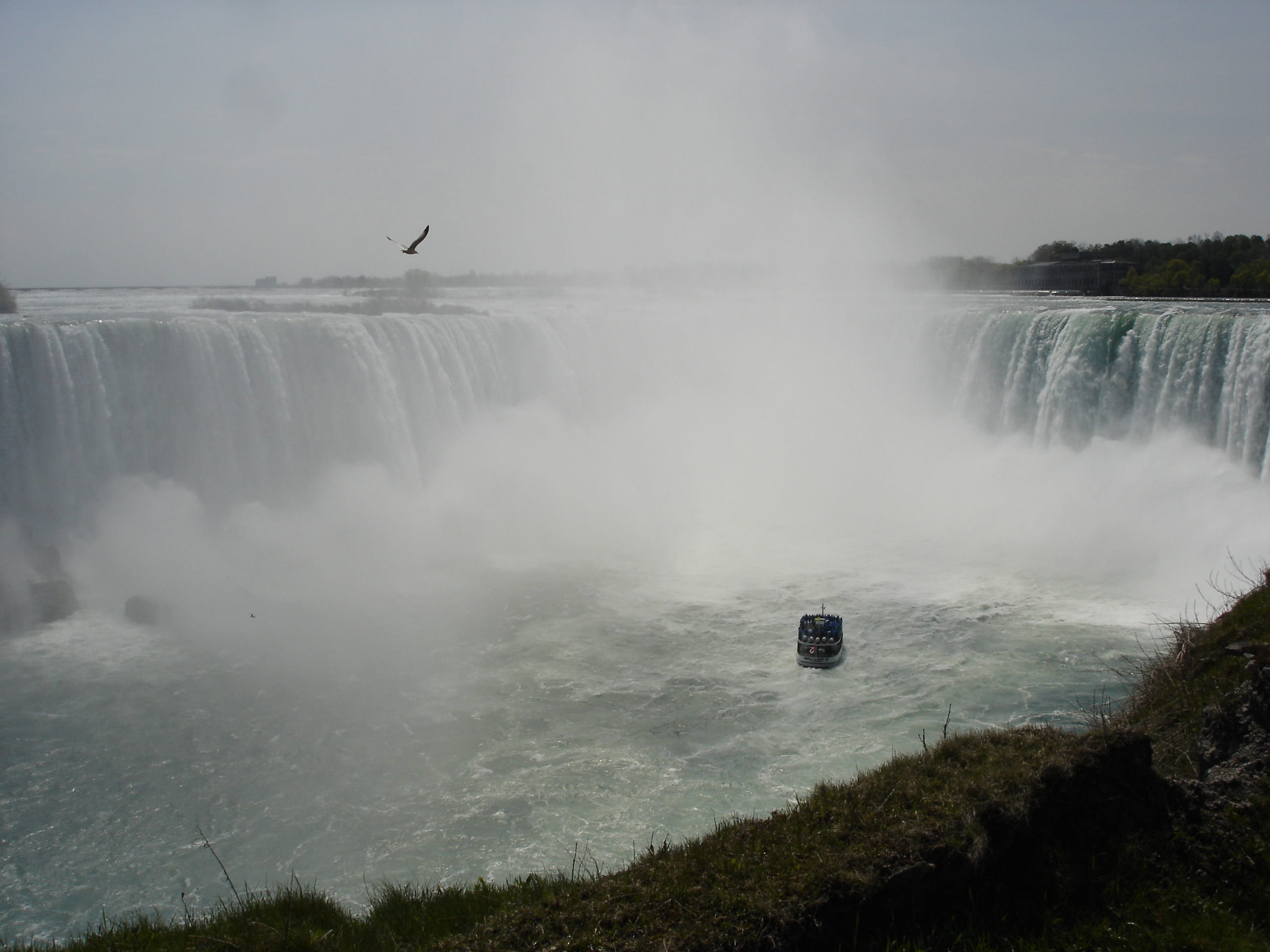 niagara if, canada, waterfall, boot, seagull, murmur, foaming