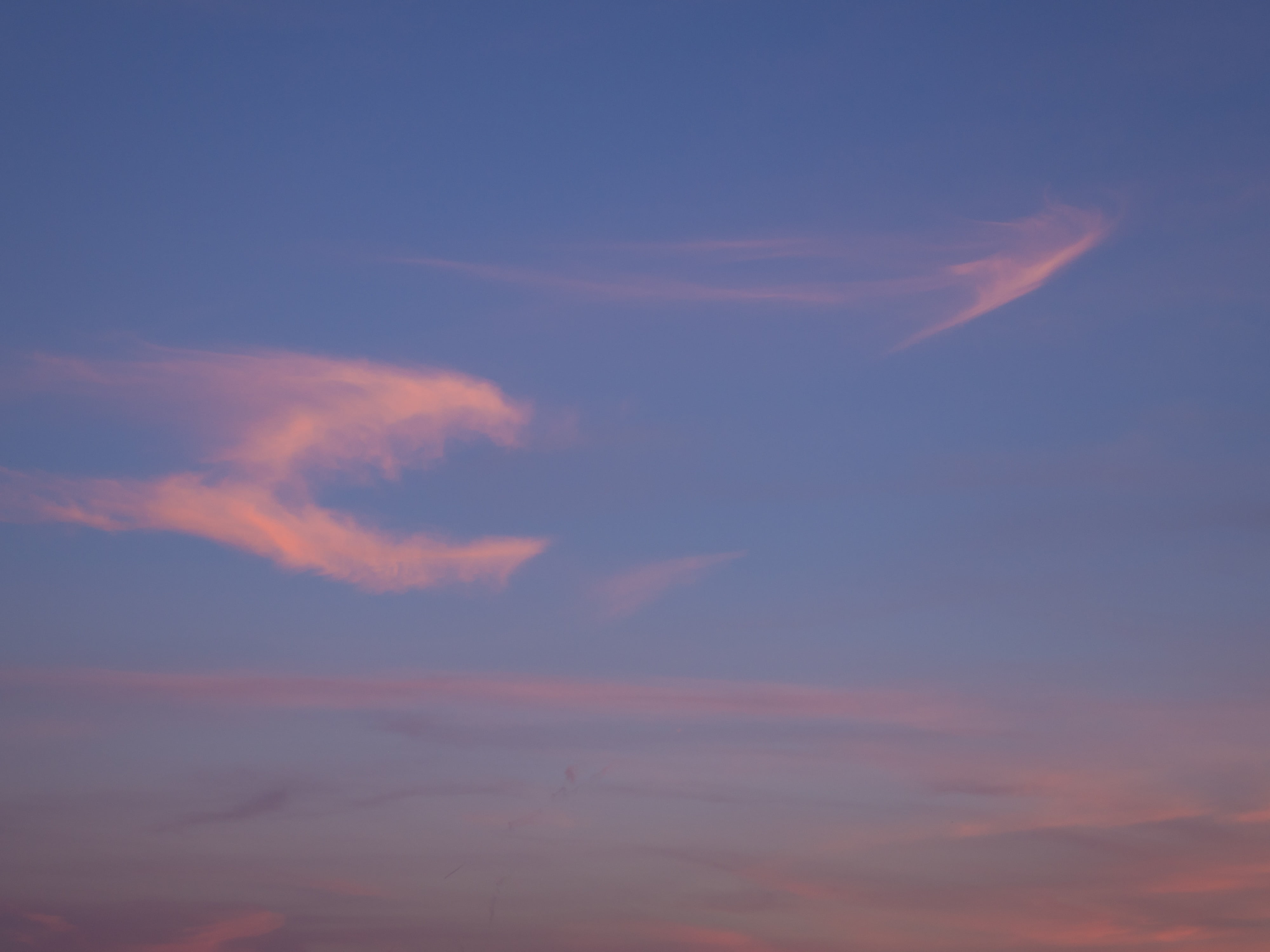cloud, sky, sunset, evening, cloud - sky, beauty in nature
