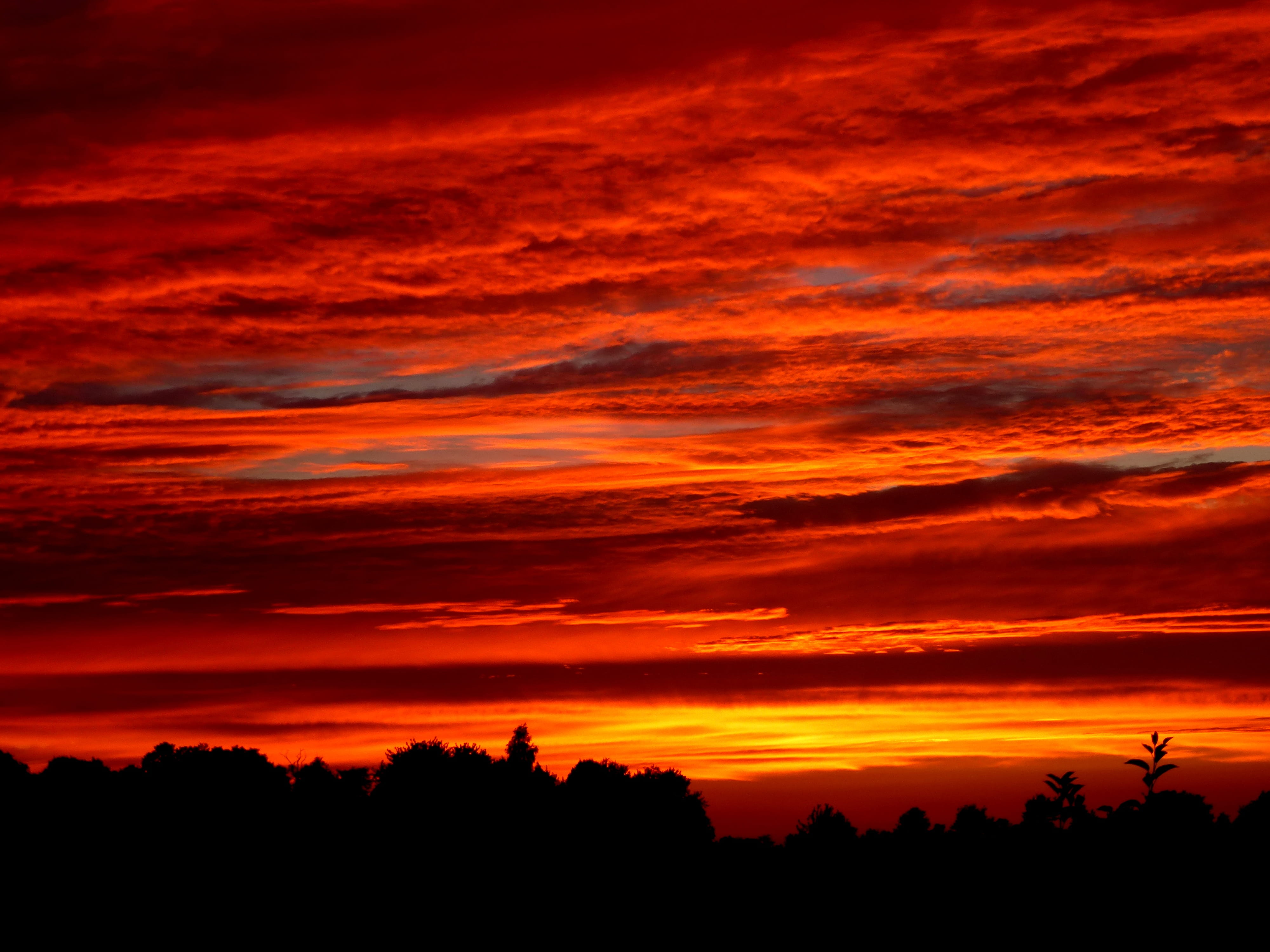 sunset, evening, red, clouds, atmospheric, afterglow, twilight