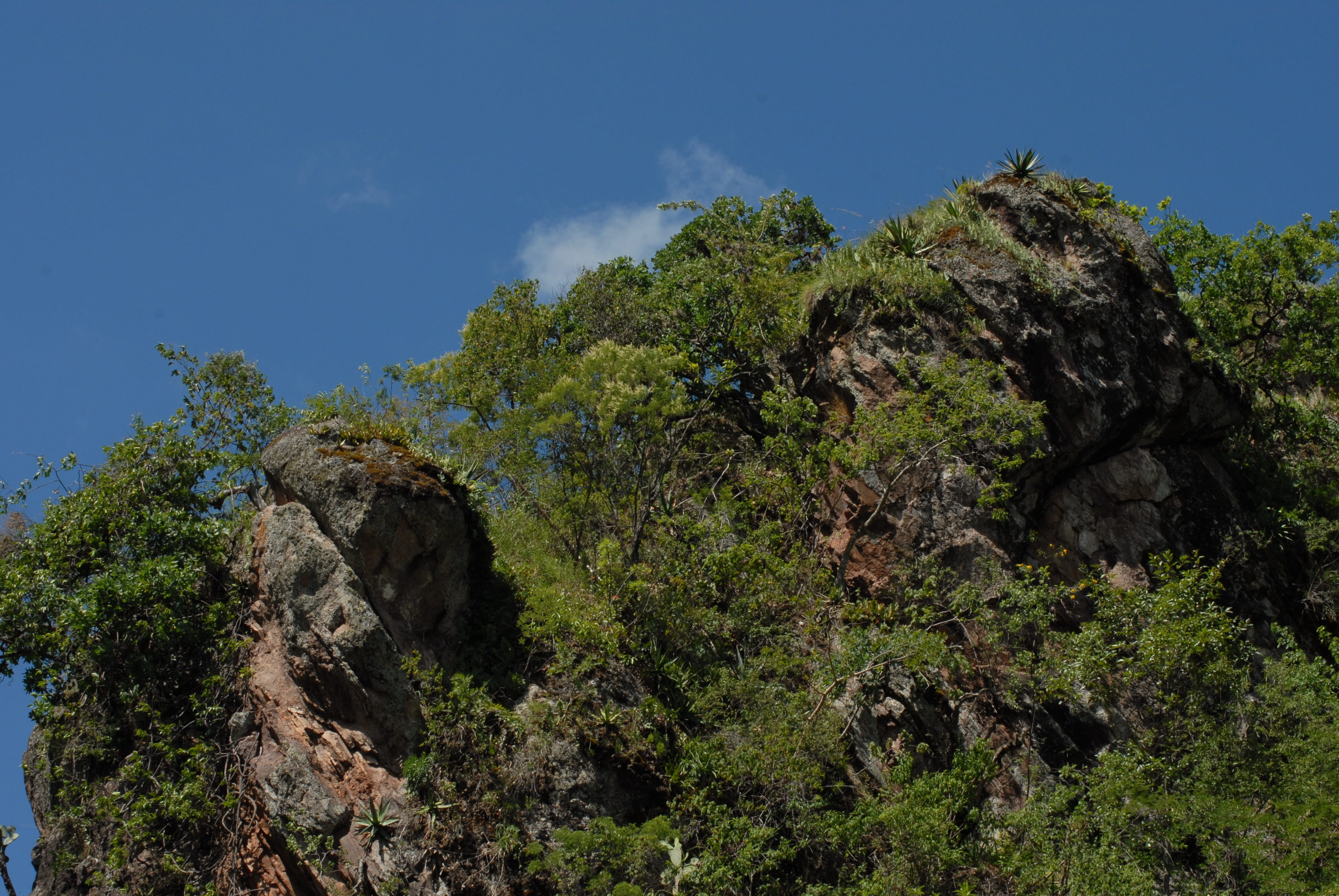 rock, mount, nature, plant, tree, rock - object, solid, sky